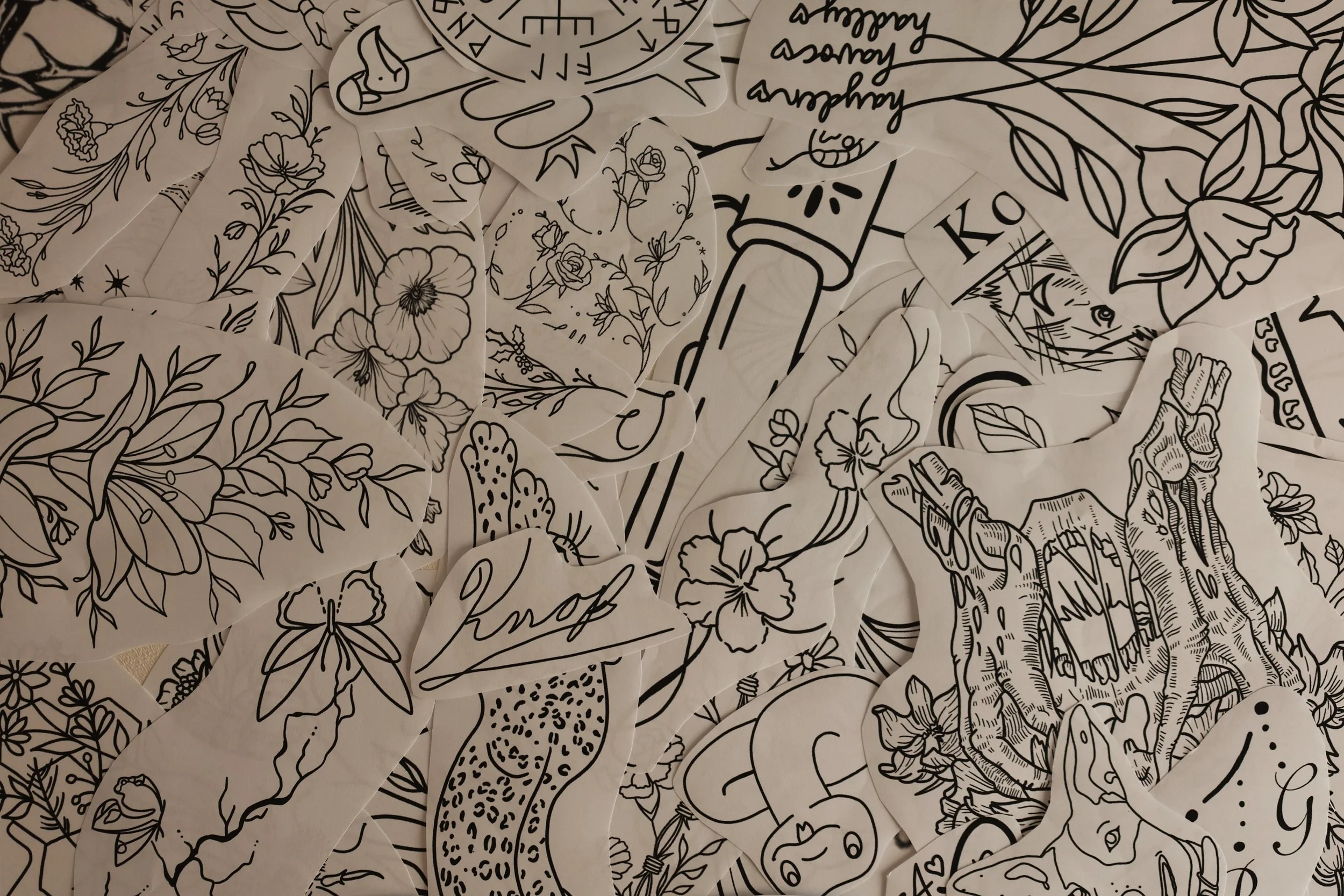 81212493-0A22-4F0C-9288-DF0AB34C27EF 2.jpeg