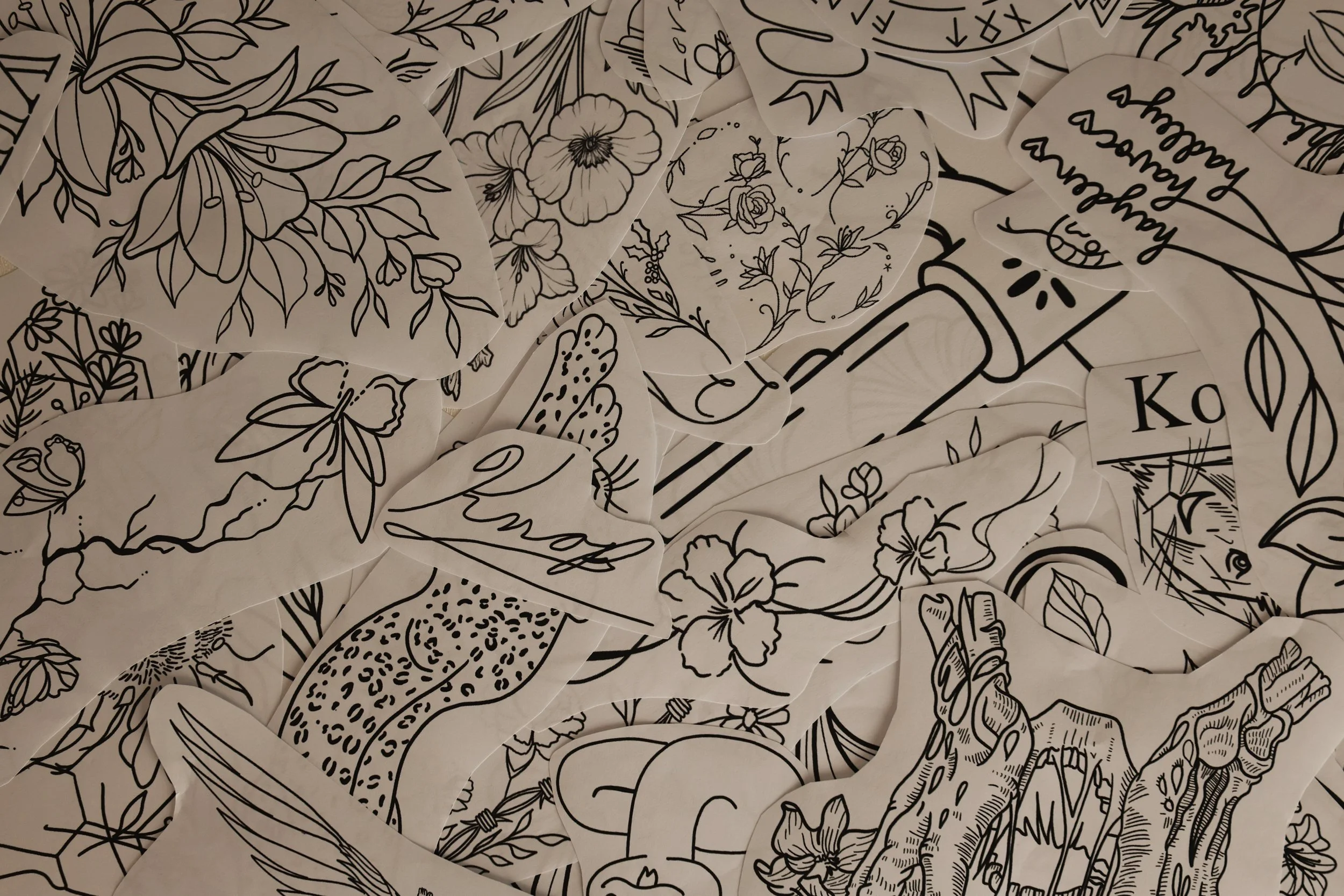 8332CEB1-2064-4EFD-87B3-735AB462C734 2.jpeg