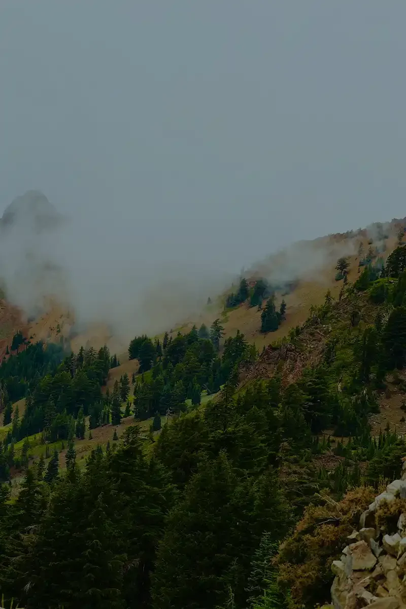 Mountain landscape in Western Colorado near restoration site