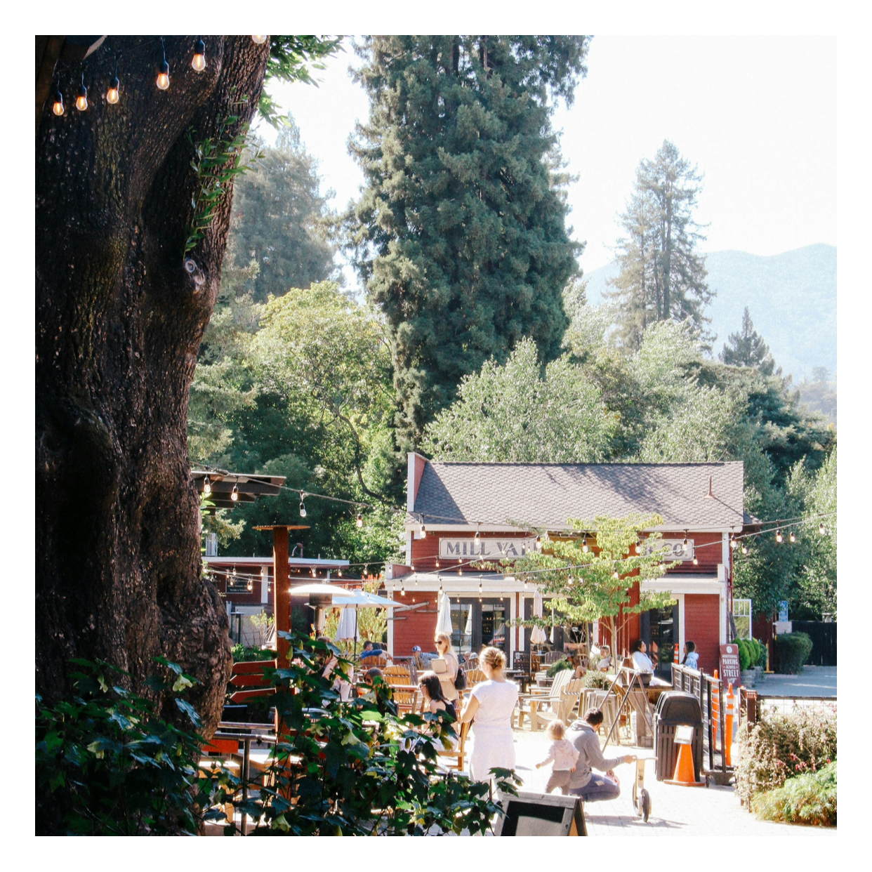 Buying Property in Marin or the North Bay? What to Check Before You Close