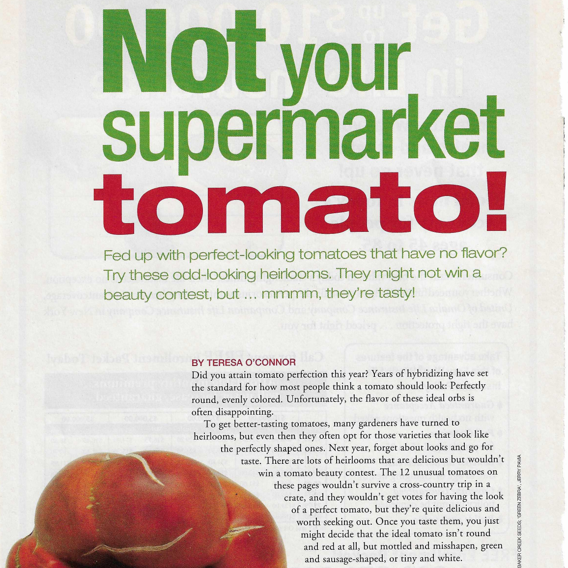 tomato_updated.png