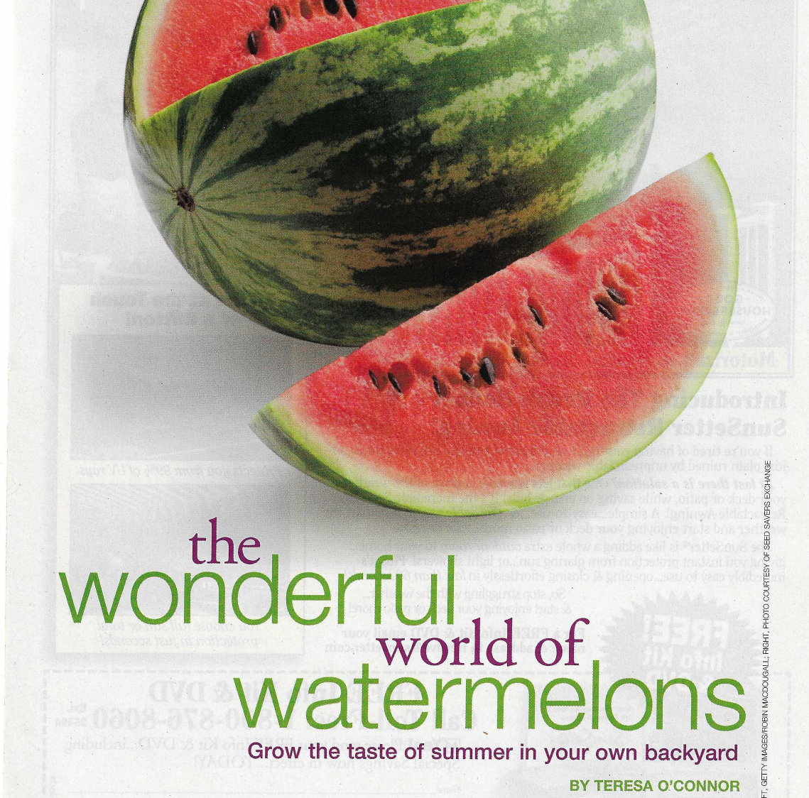 watermelons_updated.png
