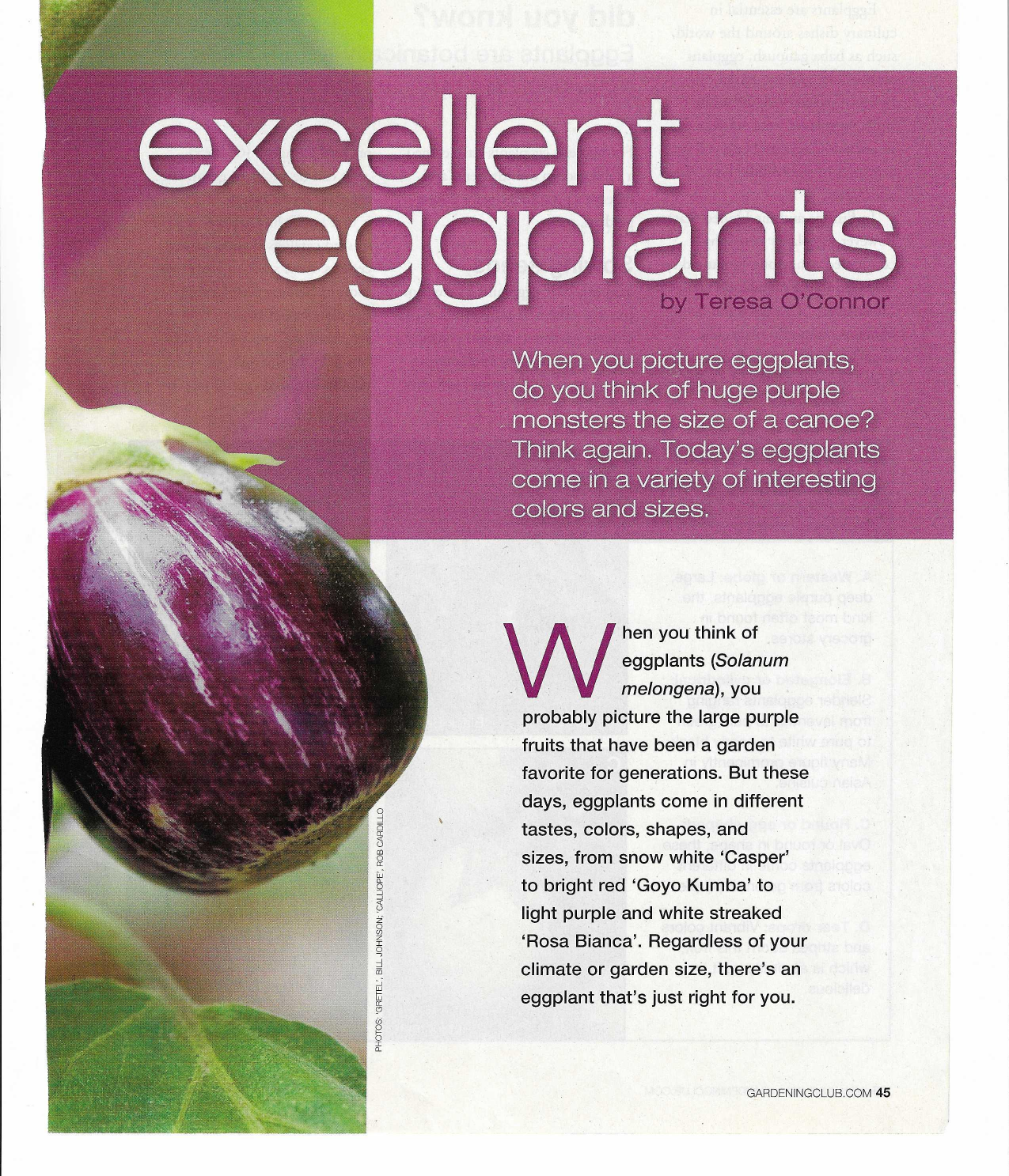 eggplant_updated.png