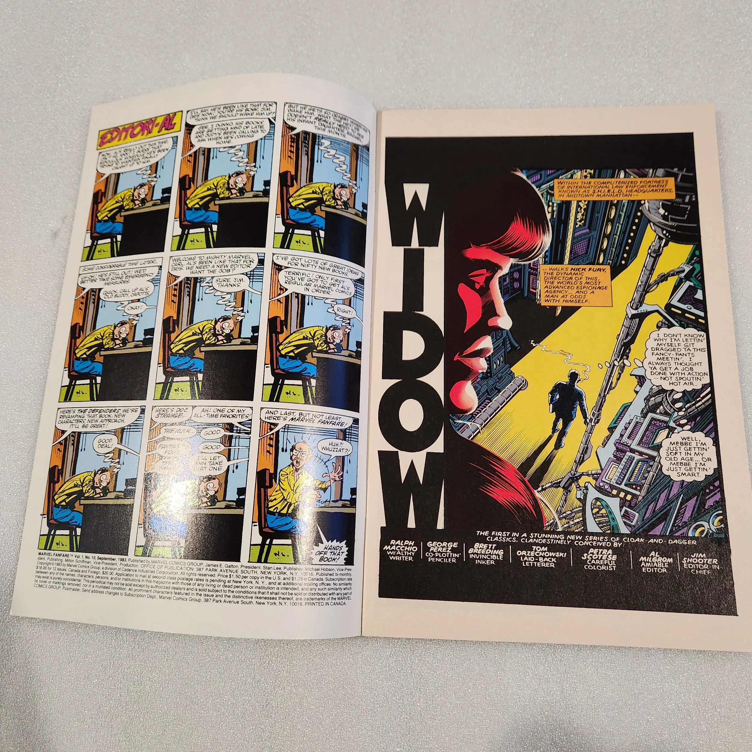 marvel-fanfare-comics-issue-10-nm-mt-condition-13 (1)20260212_014102.jpg