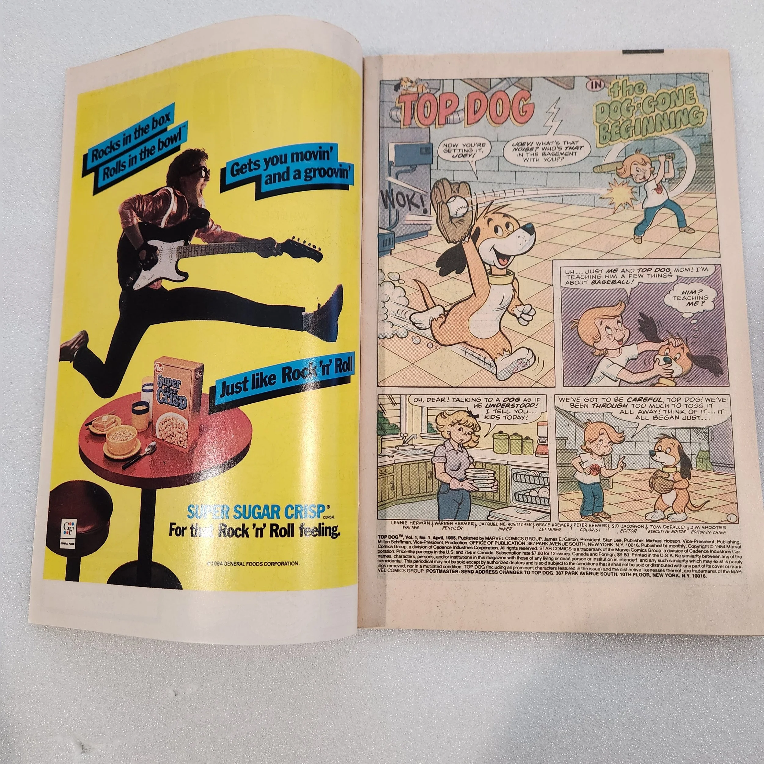 top-dog-star-comics-issue-1-nm-mt-condition-17 (1)20260211_150330.jpg