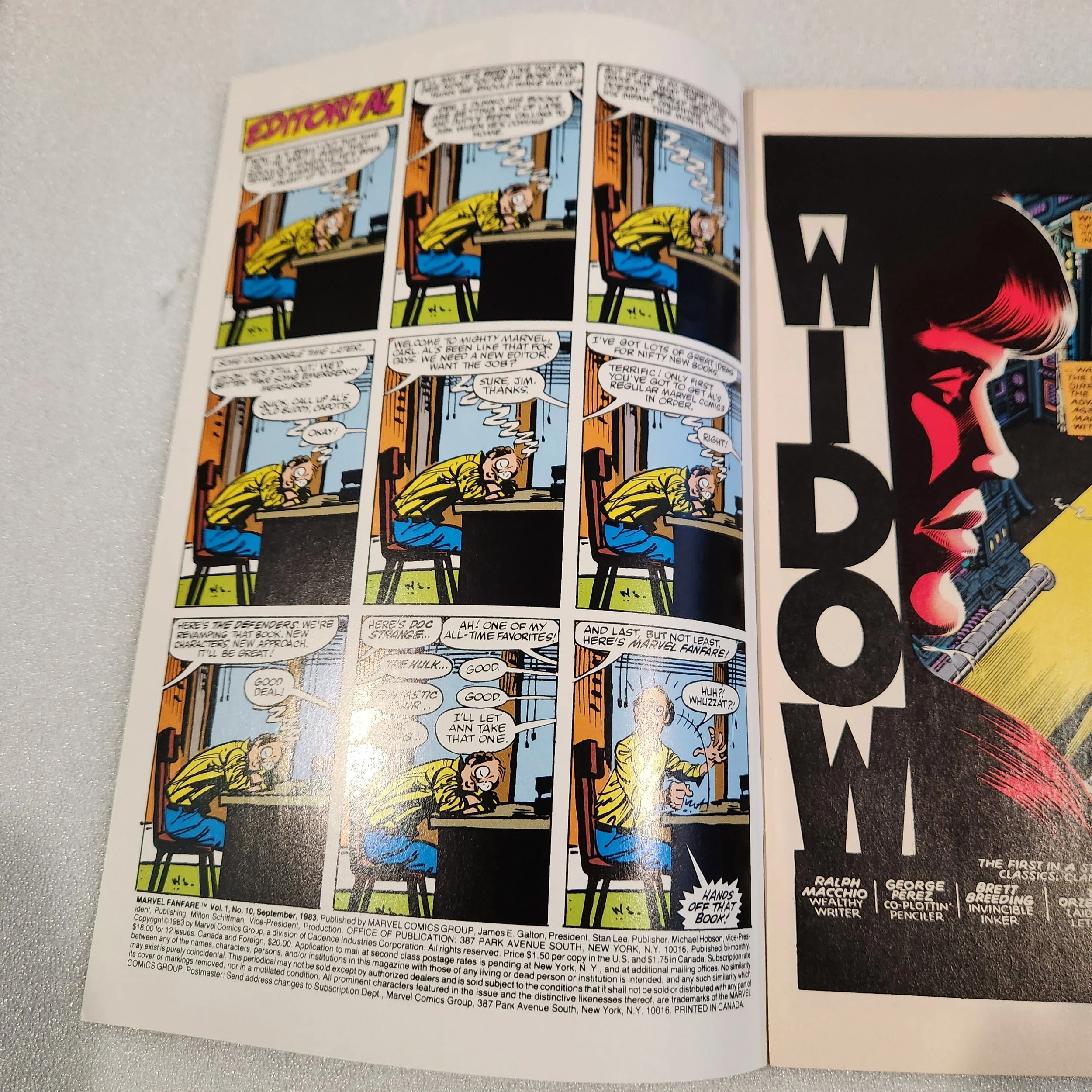 marvel-fanfare-comics-issue-10-nm-mt-condition-15 (1)20260212_014112.jpg