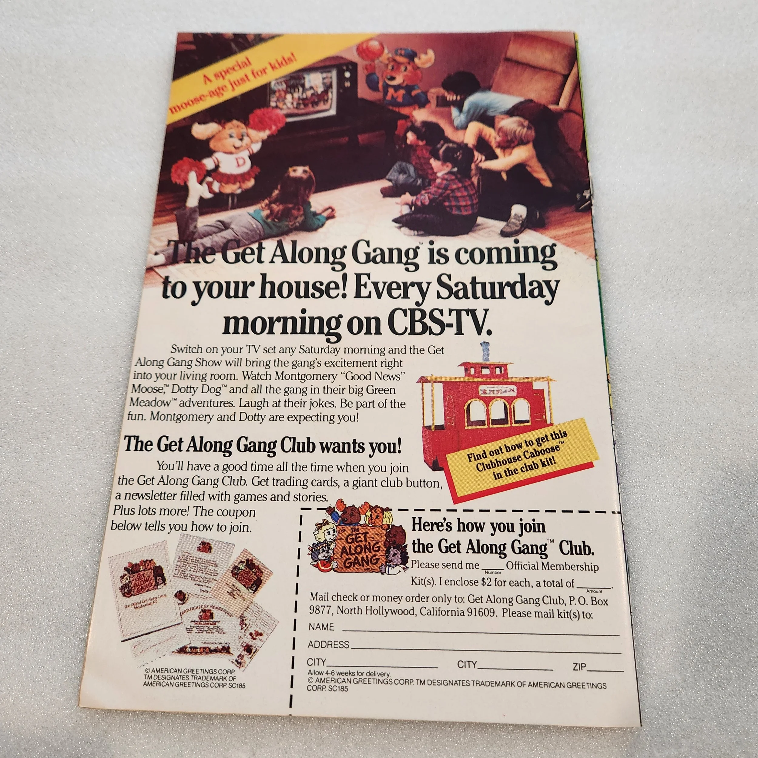 top-dog-star-comics-issue-1-nm-mt-condition-22 (1)20260211_150419.jpg
