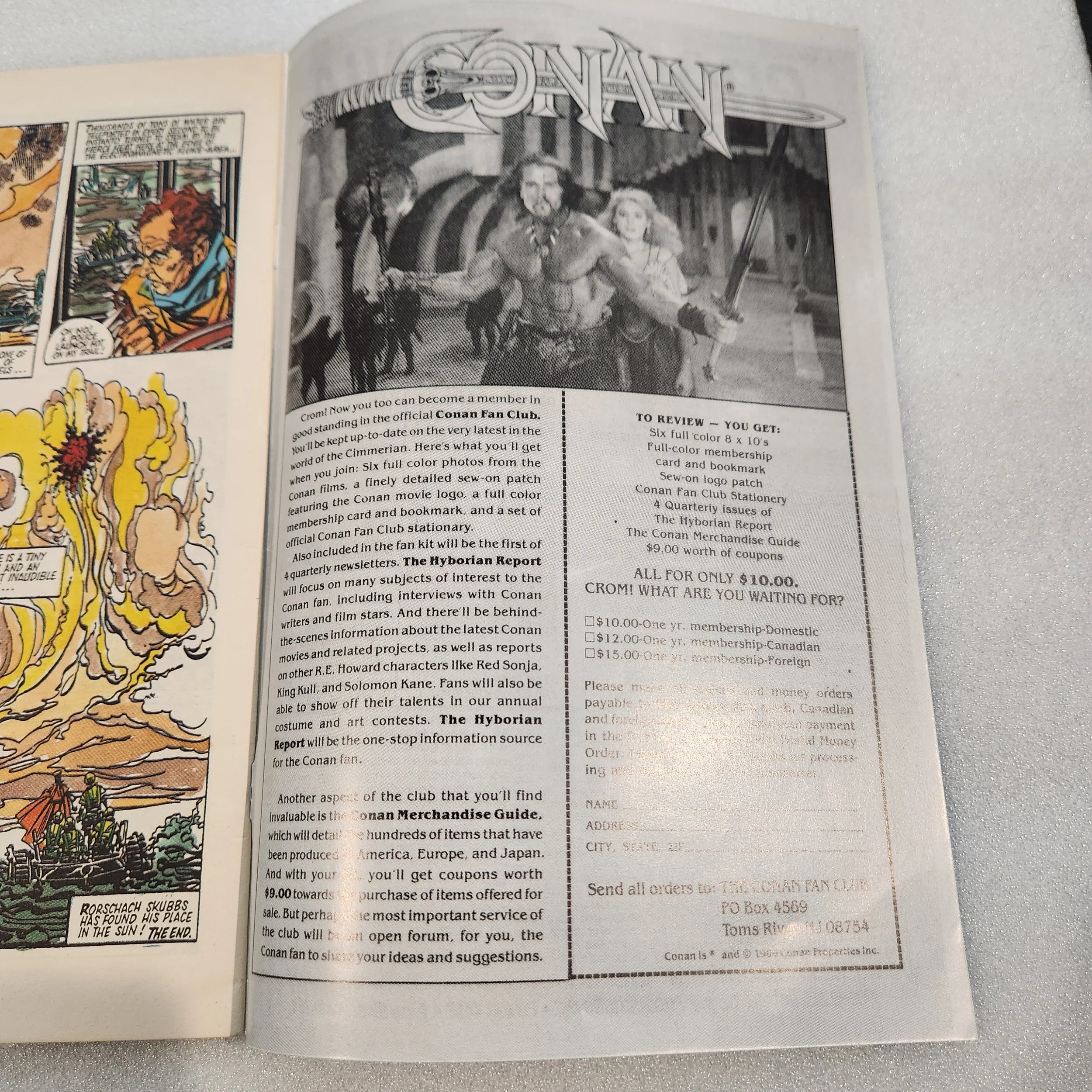 halo-jones-quality-comics-issue-1-nm-mt-condition-21 (1)20260211_152641.jpg