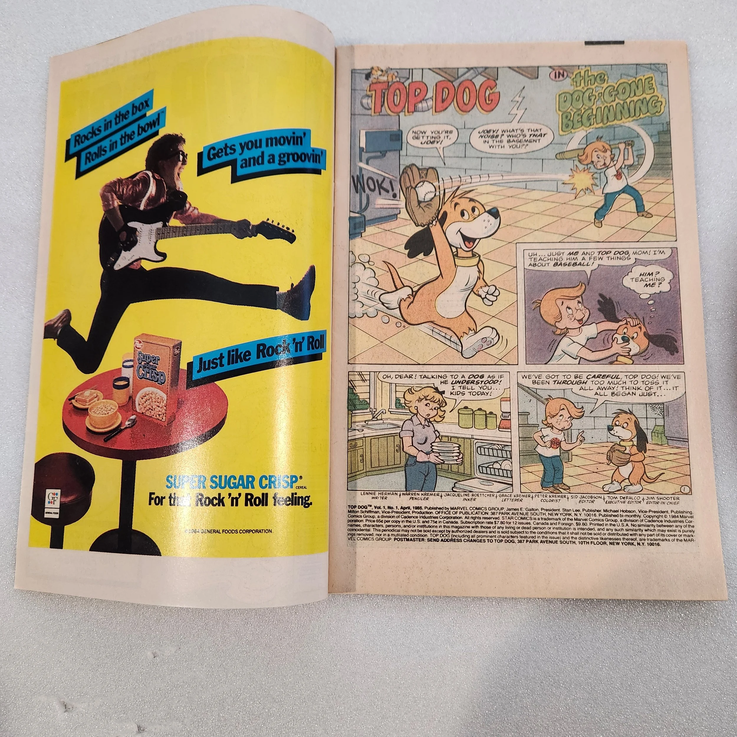 top-dog-star-comics-issue-1-nm-mt-condition-18 (1)20260211_150333.jpg