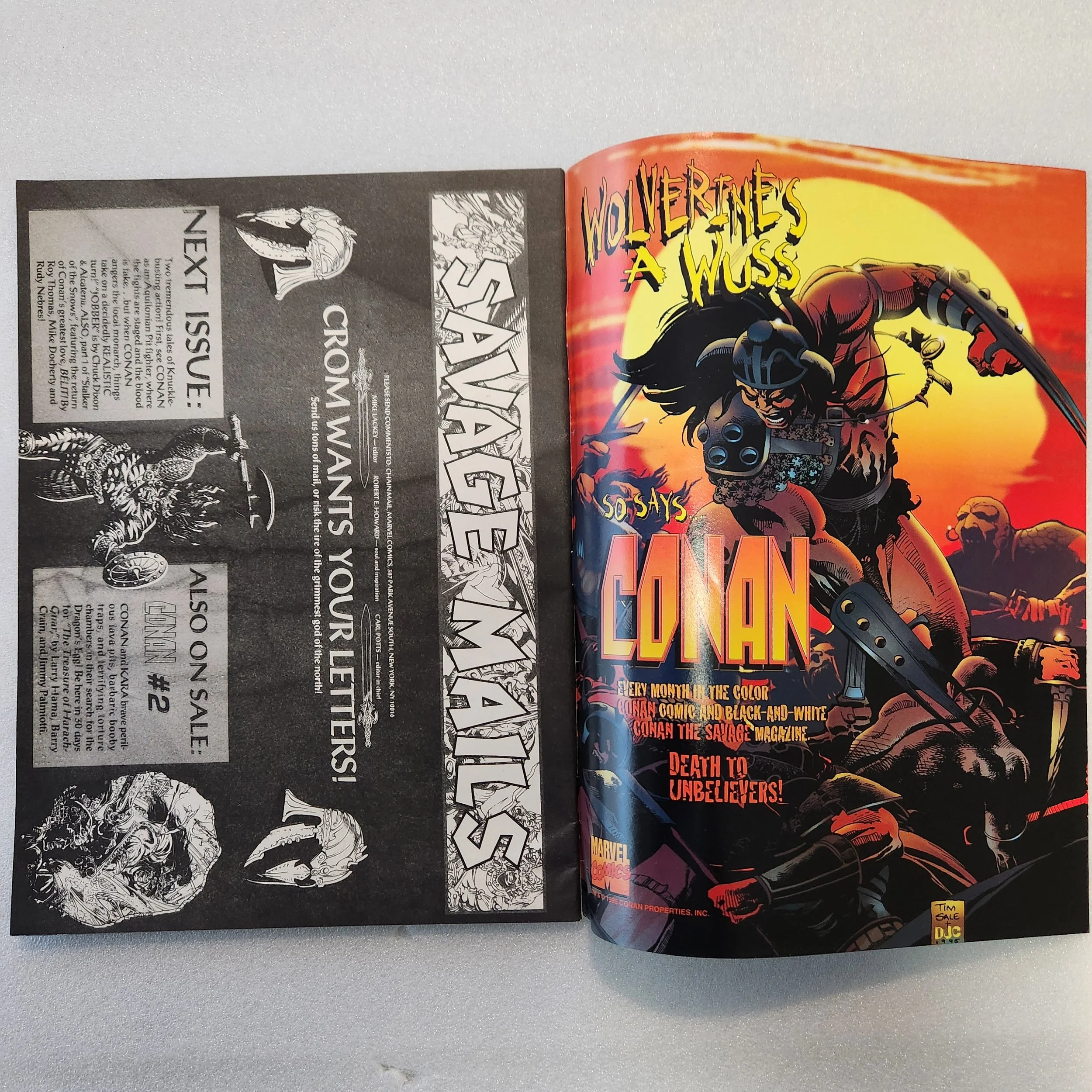 marvel-graphic-novel-conan-the-savage-18 (1)20260117-131857.jpg