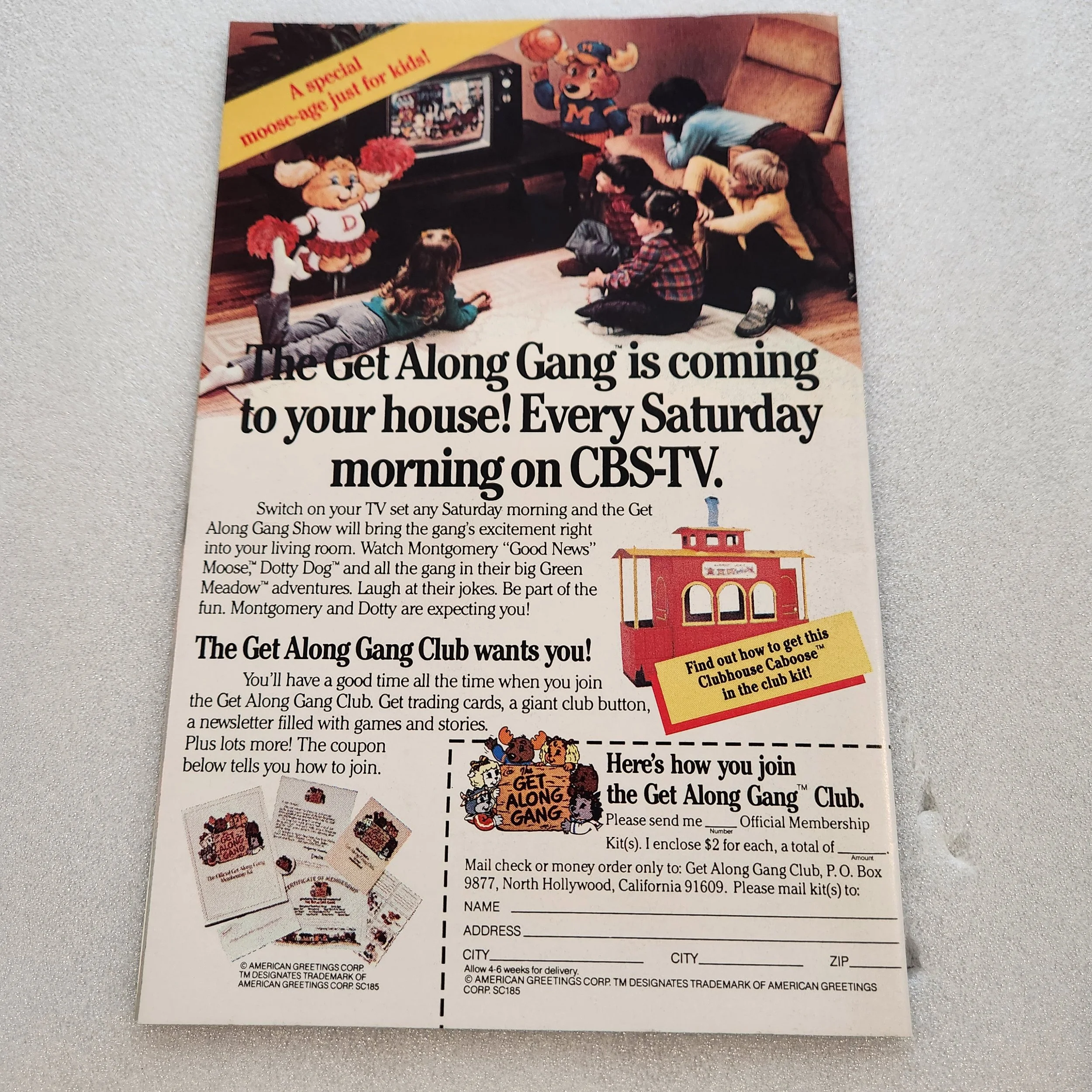 planet-terry-star-comics-issue-1-nm-mt-condition-18 (1)20260211_101909.jpg