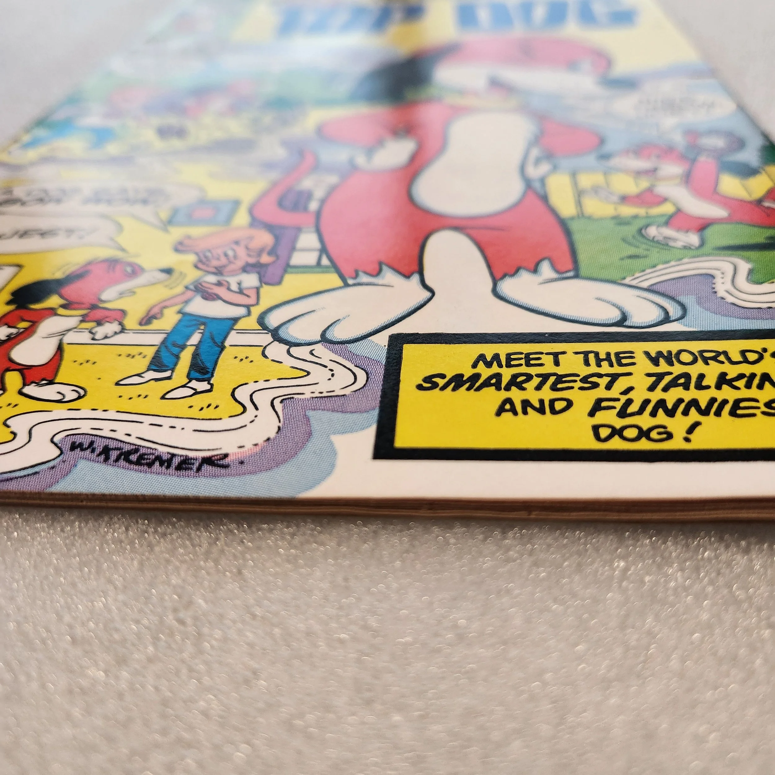 top-dog-star-comics-issue-1-nm-mt-condition-02 (1)20260211_150043.jpg