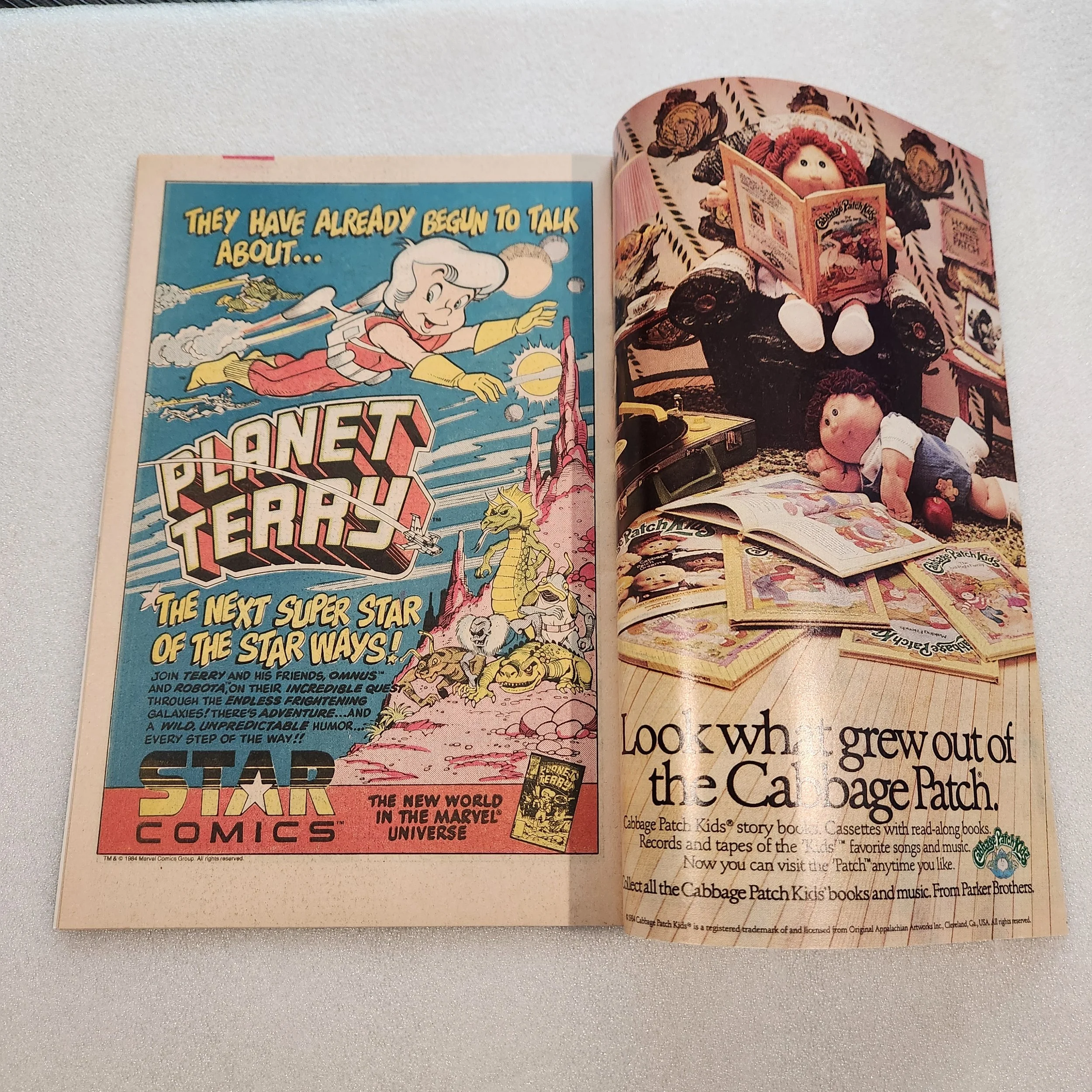 planet-terry-star-comics-issue-1-nm-mt-condition-19 (1)20260211_101932.jpg