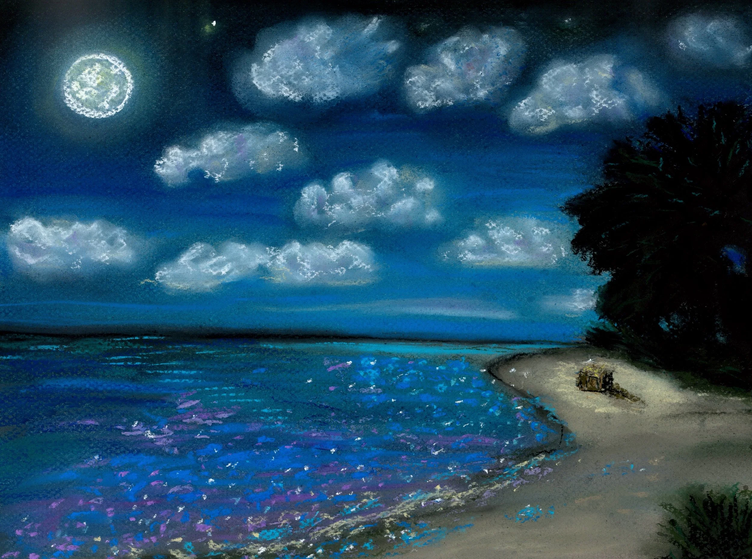 Diamond beach island at full moon Enchanted December .JPG