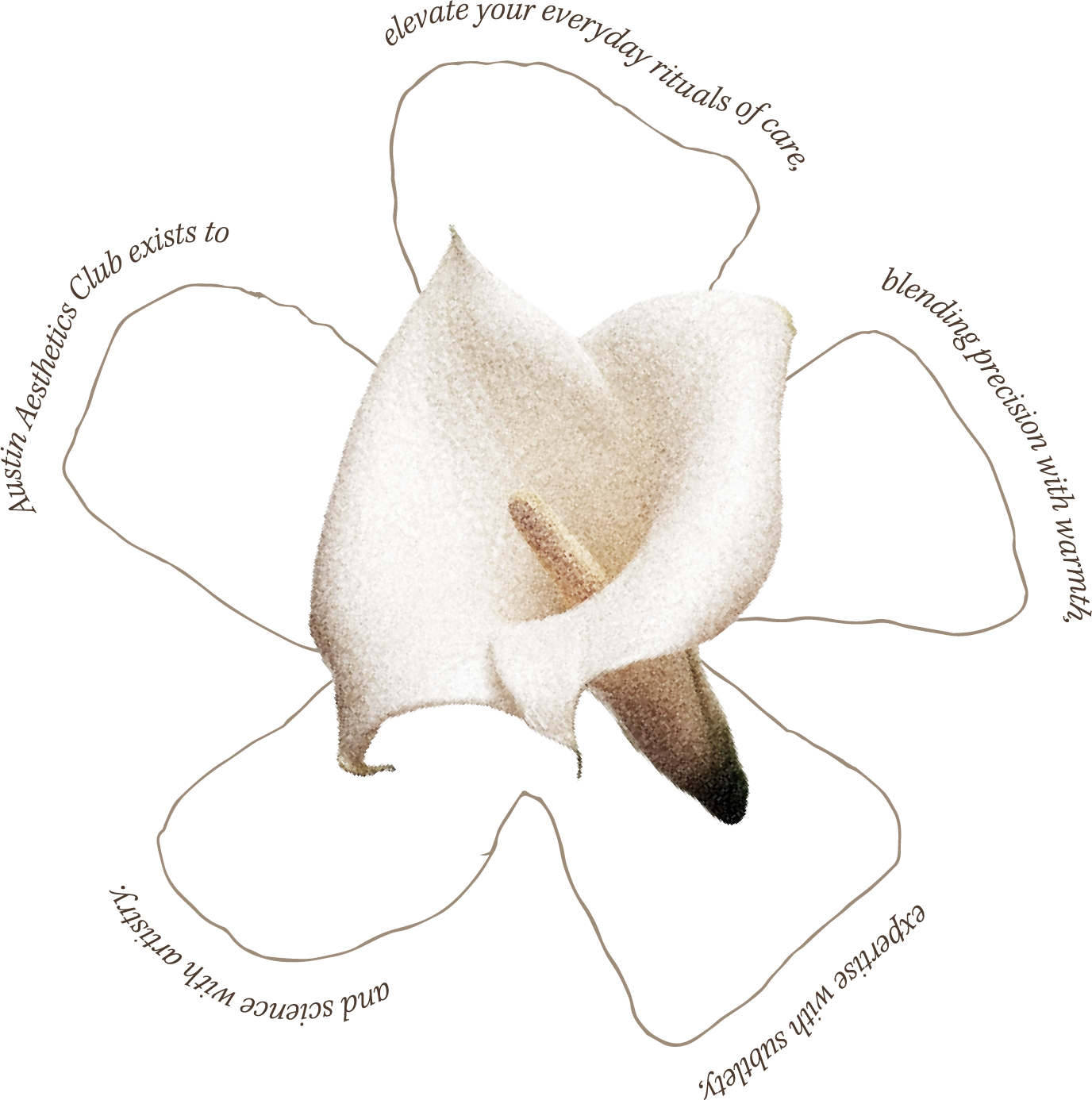 A white calla lily flower with a yellow spadix and a greenish-black base.