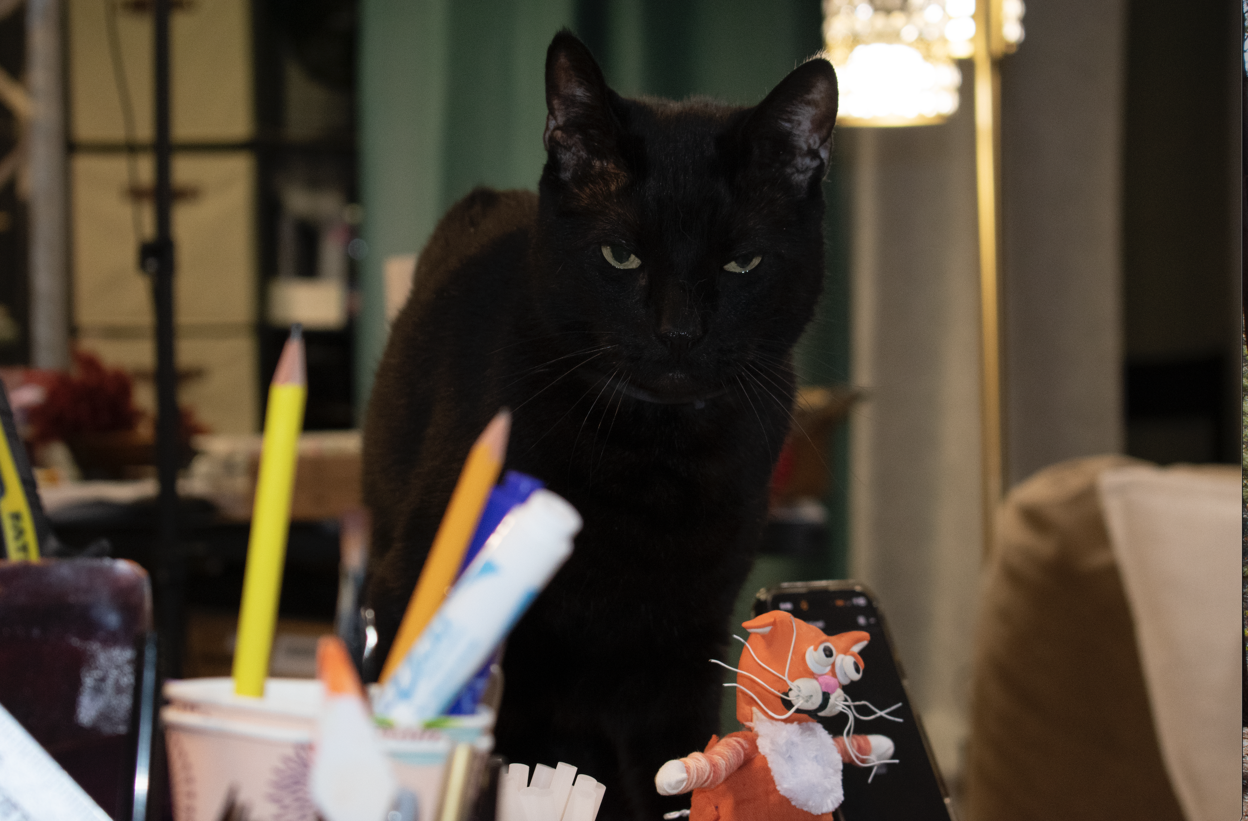 Screenshot 2026-03-20 at 4.21.36 PM.png