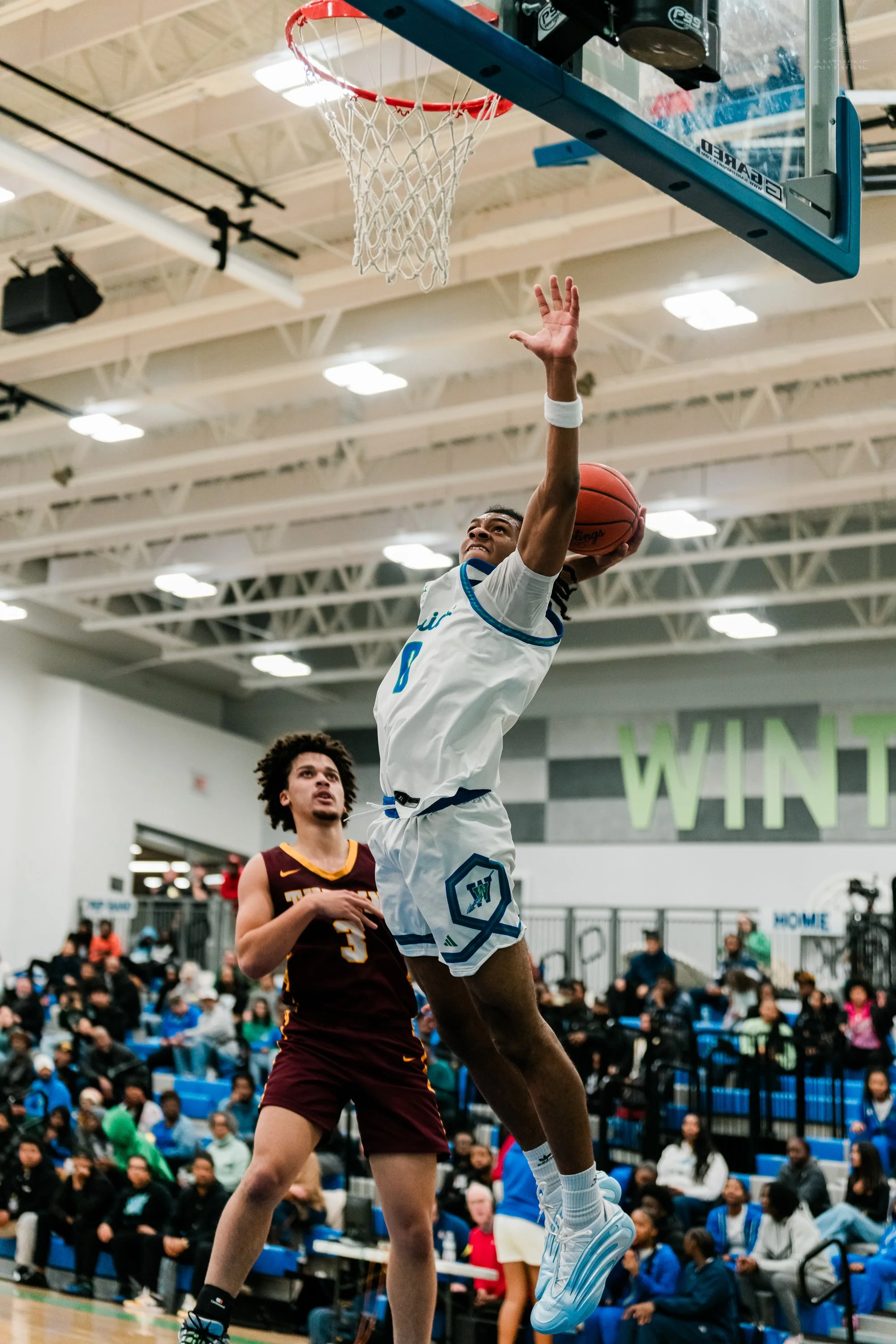 Squarespace Sports-28.jpg