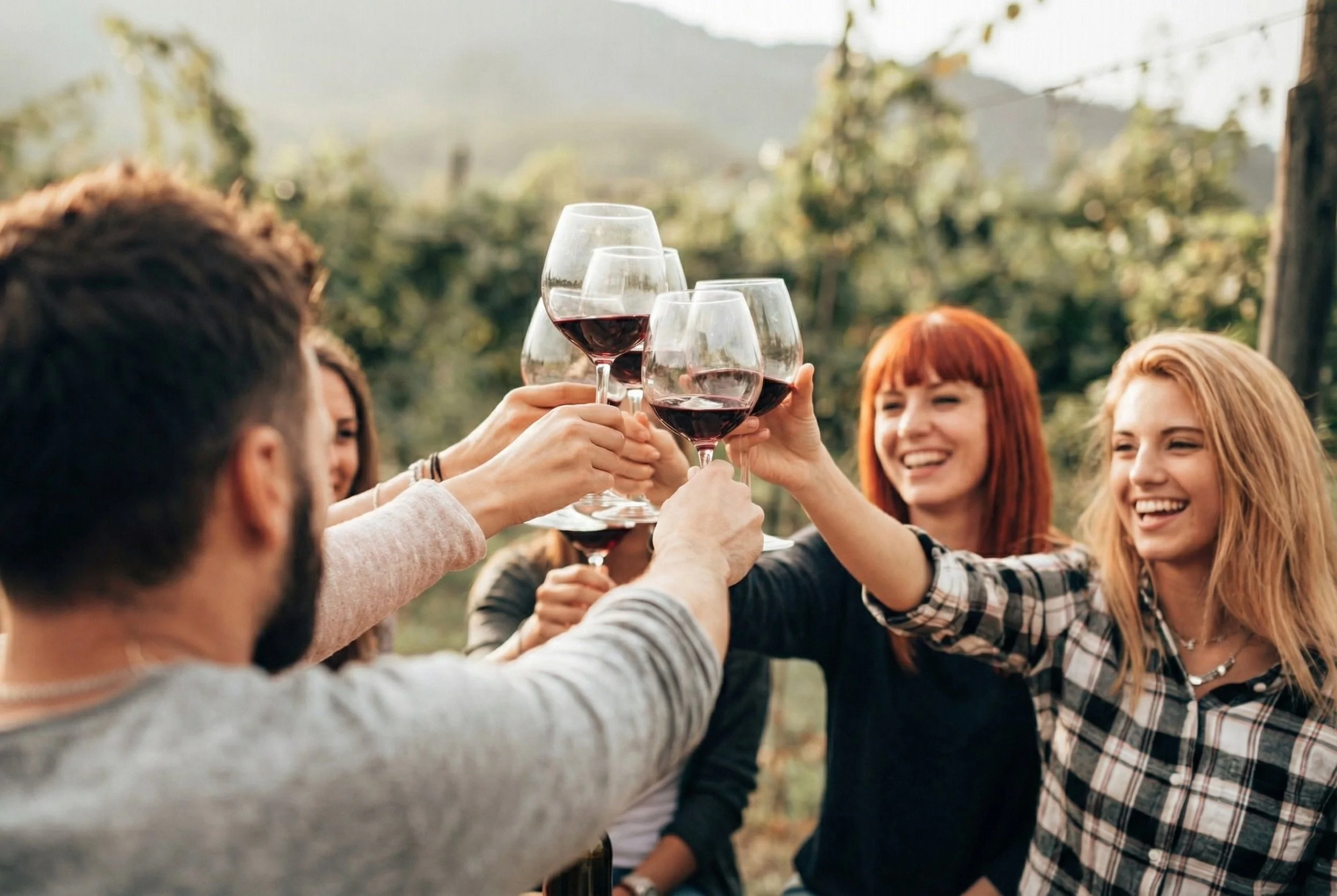 Group of friends outdoors raising glasses of red wine in a toast, smiling and enjoying a gathering surrounded by greenery.