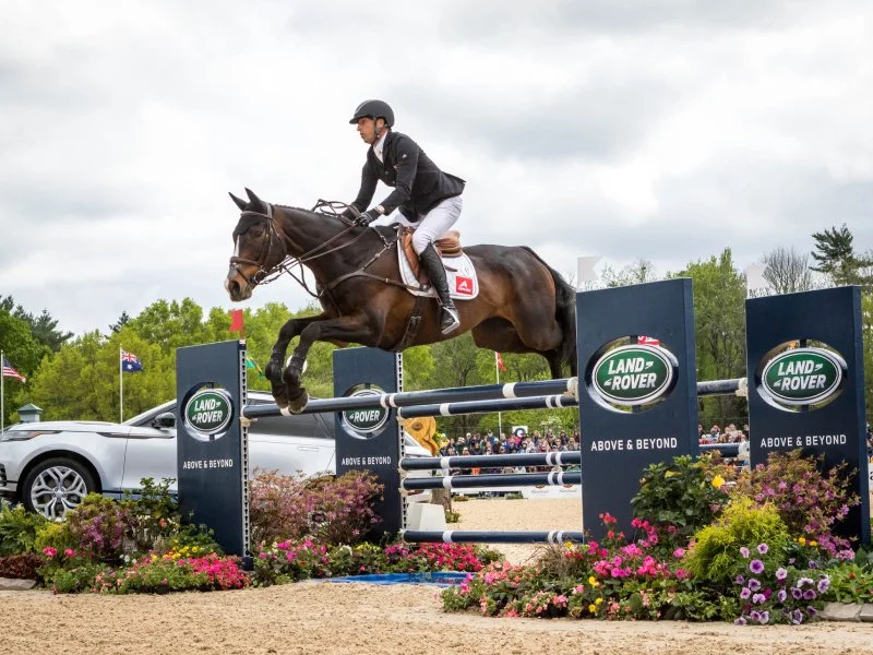 A rider on horseback jumping over an obstacle during an equestrian event, with banners and flowers around the course.