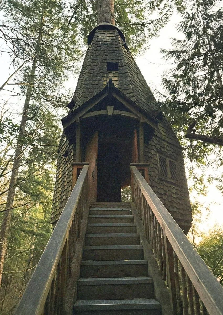 treehouse at islandwood bainbridge island.jpg