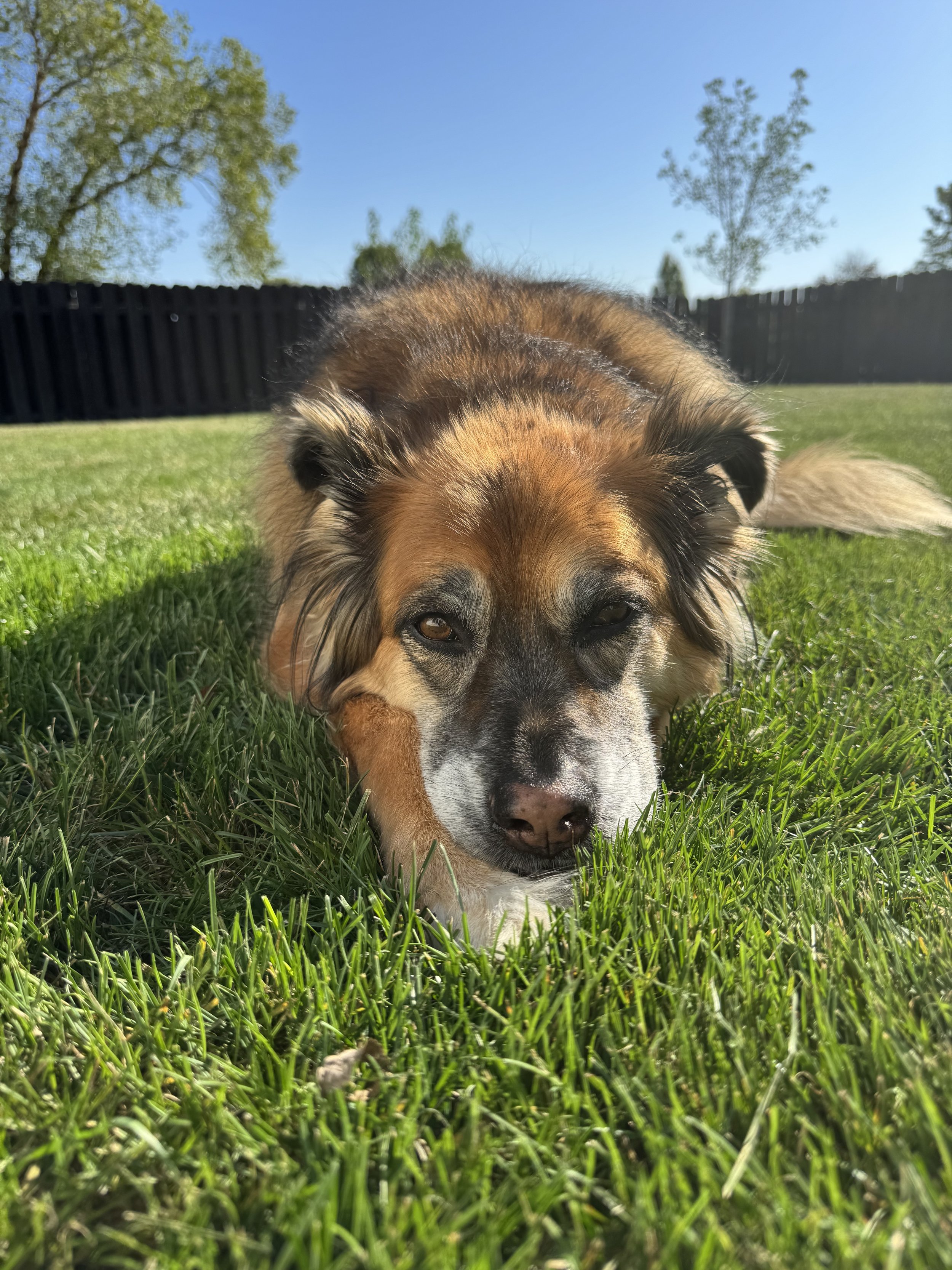 Understanding the Mindset