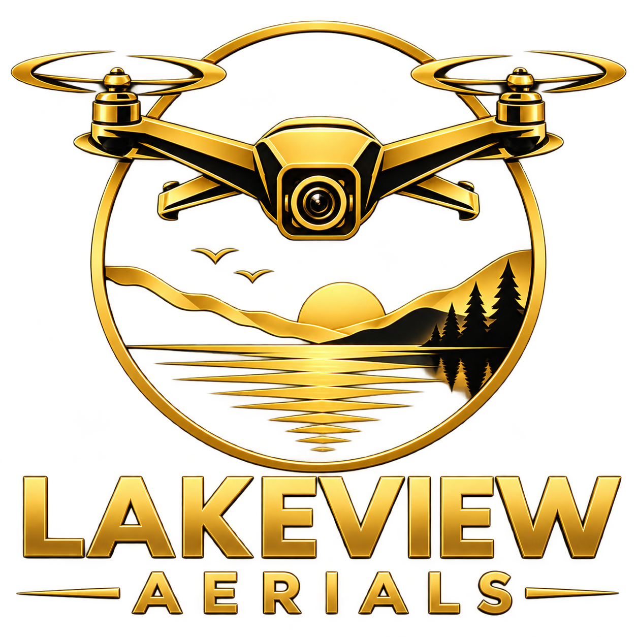 Lakeview Aerials