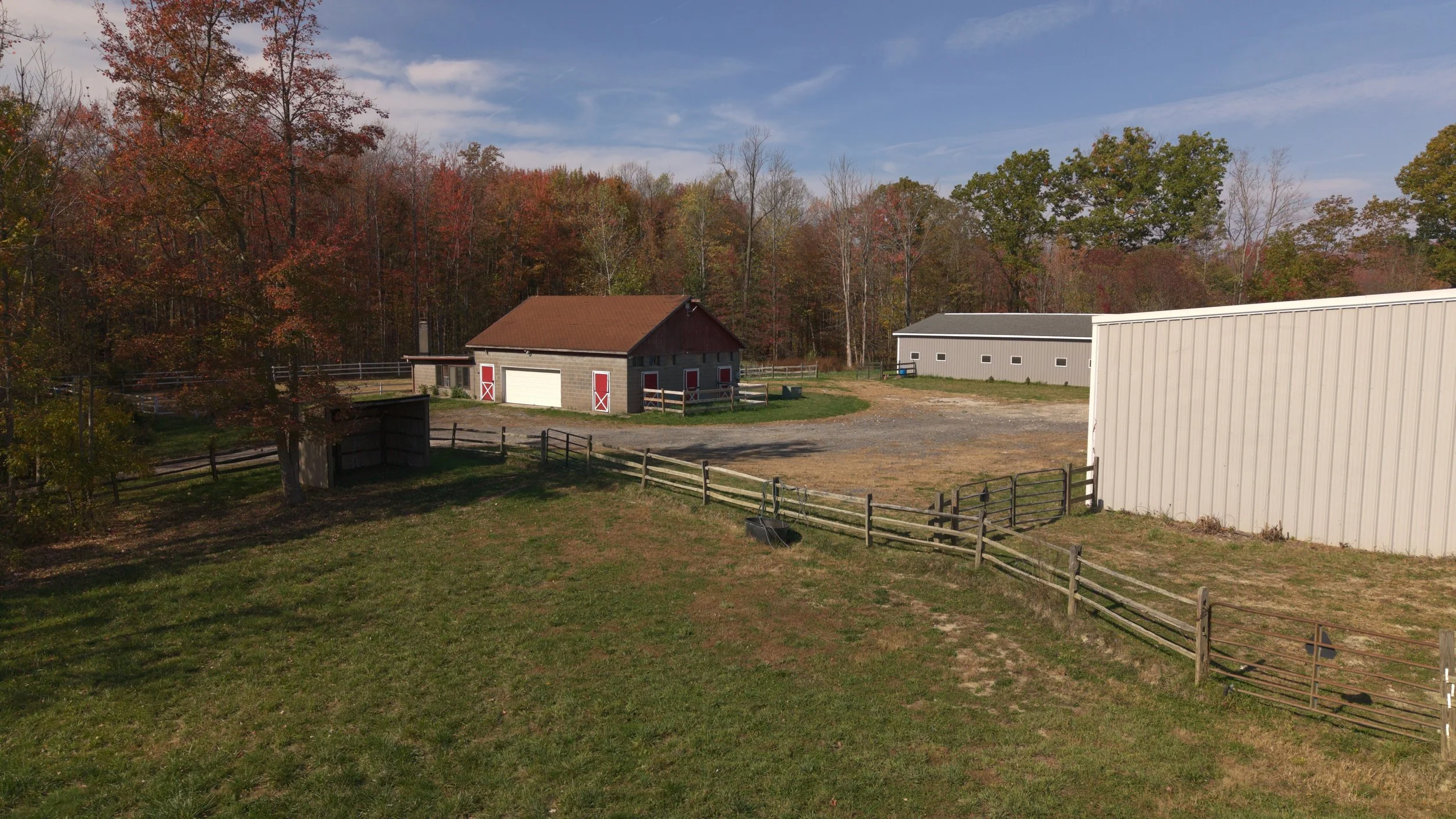 bonus house_1.23.1.jpg