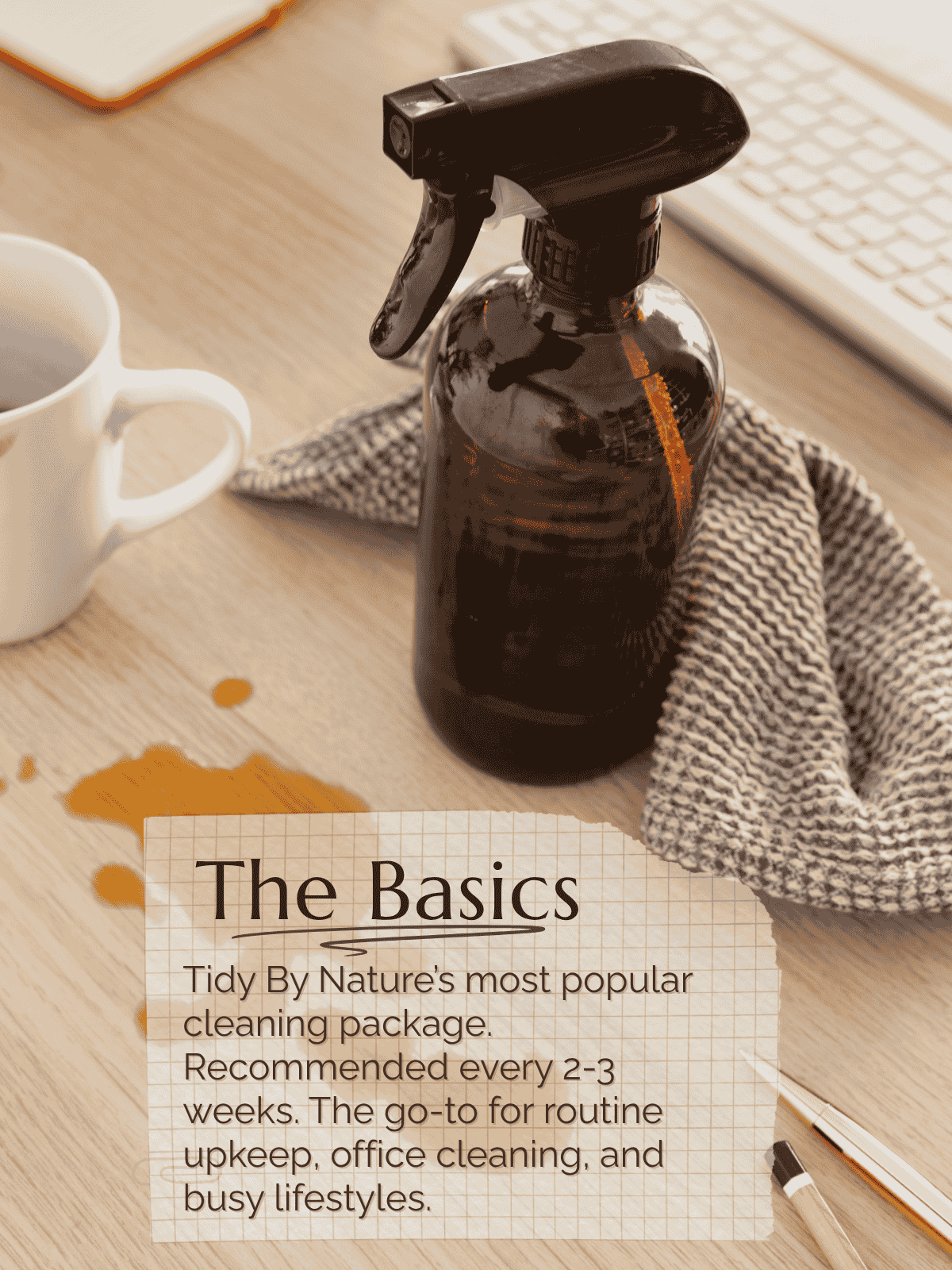 The Basics residential home cleaning service for coastal North Carolina homes.