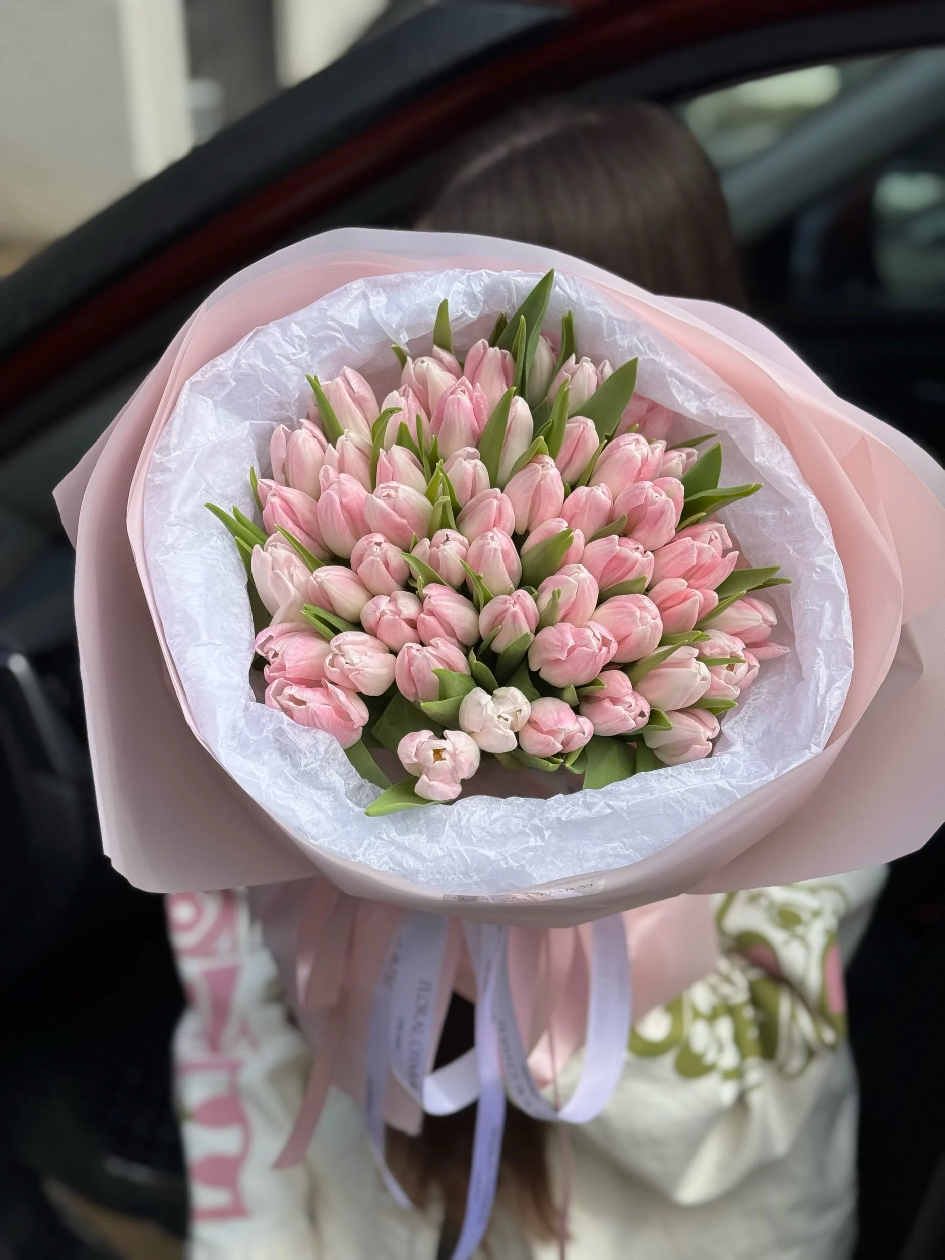 Light Pink Tulips