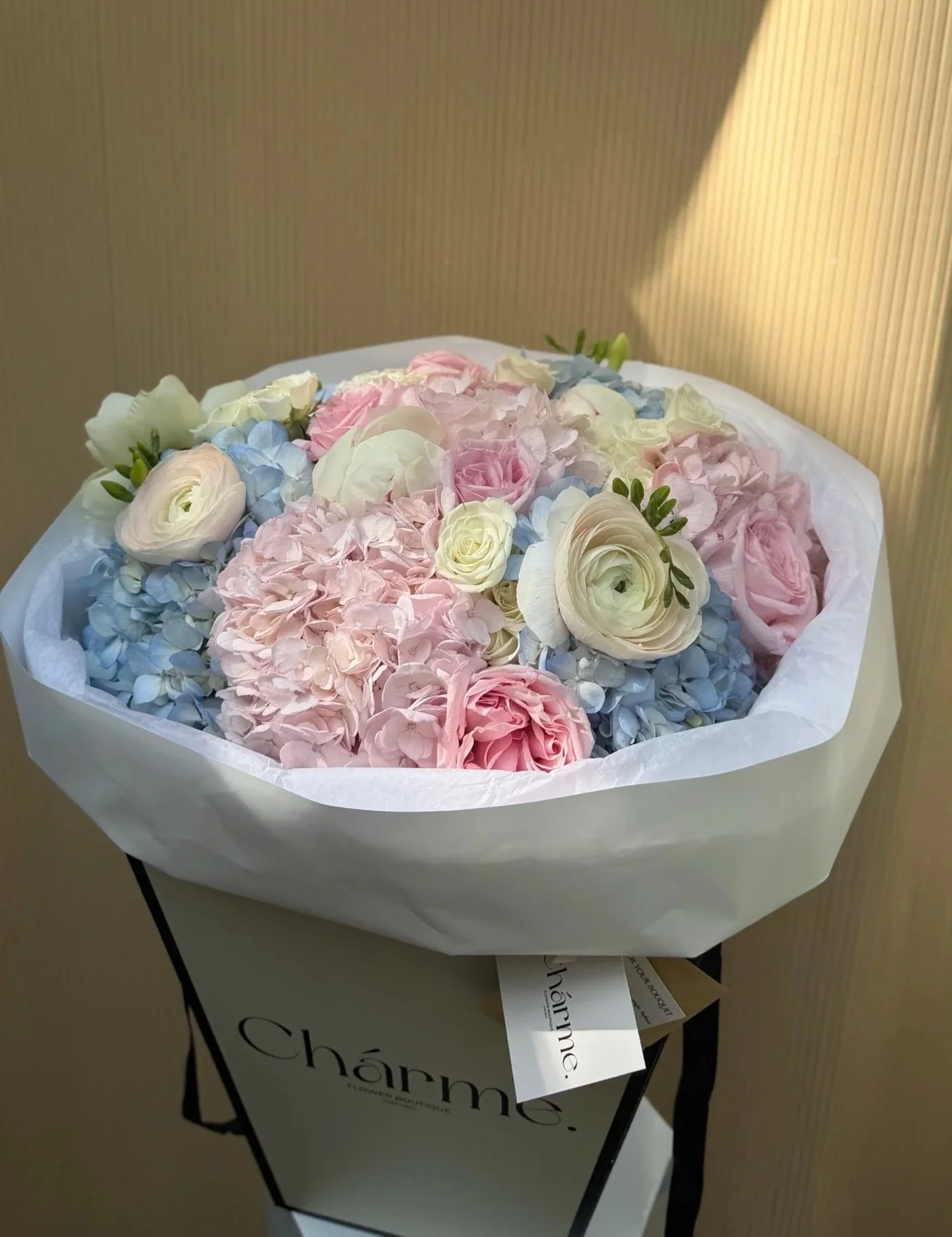 D244CBFE-E5E5-4178-8E70-42AE92CB658F.jpg