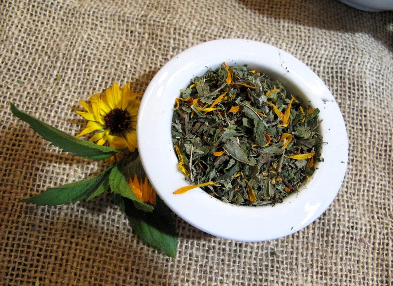 Meadow Mint Herbal Tea Blend