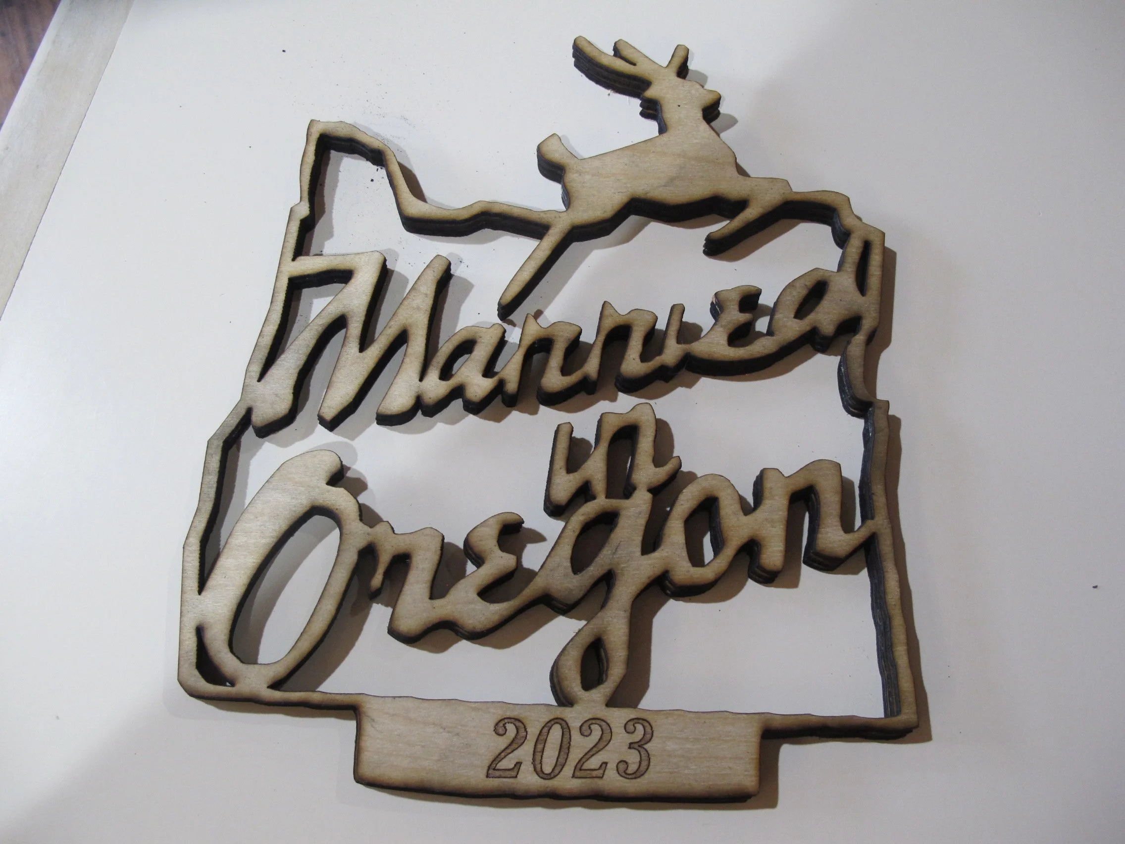 (D35) Married in Oregon Signs