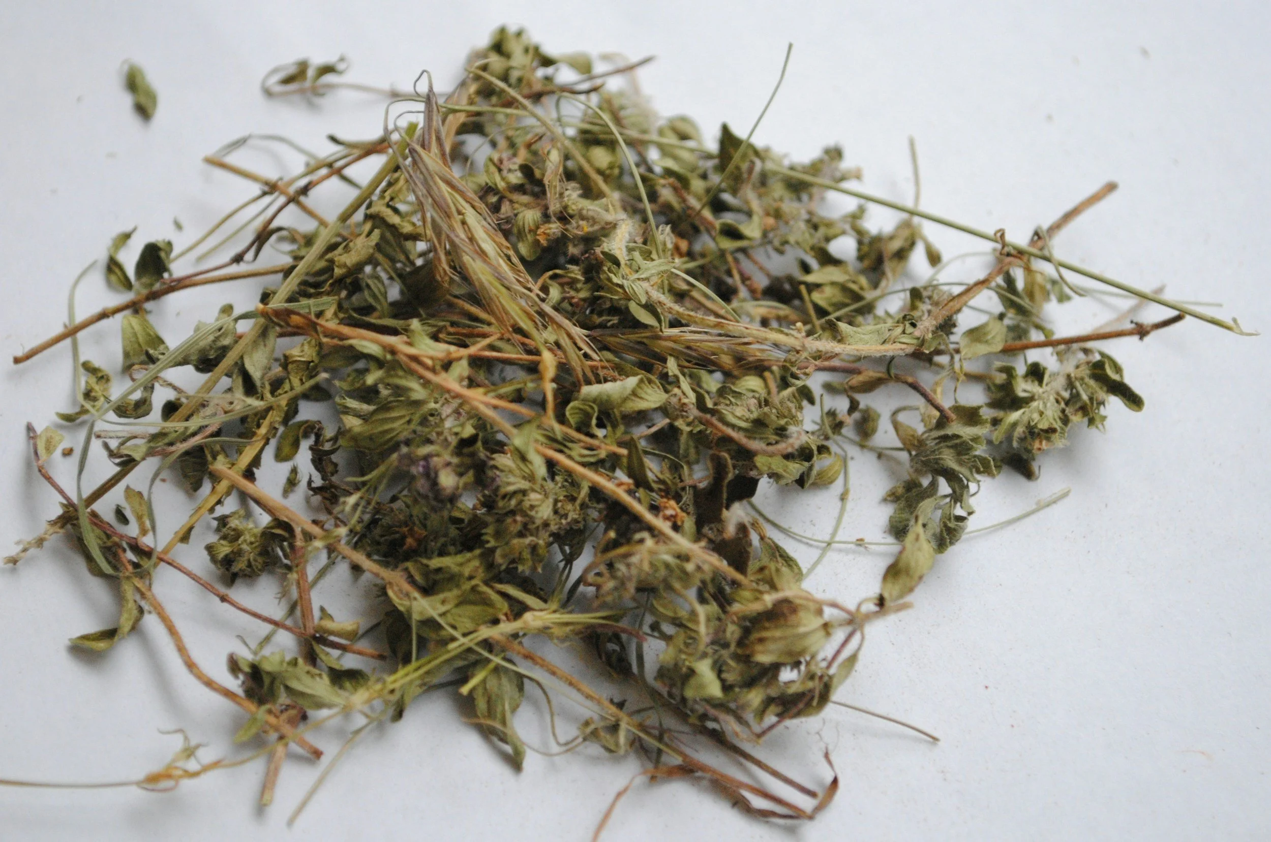 Dried herbs or plant material scattered on a white surface.