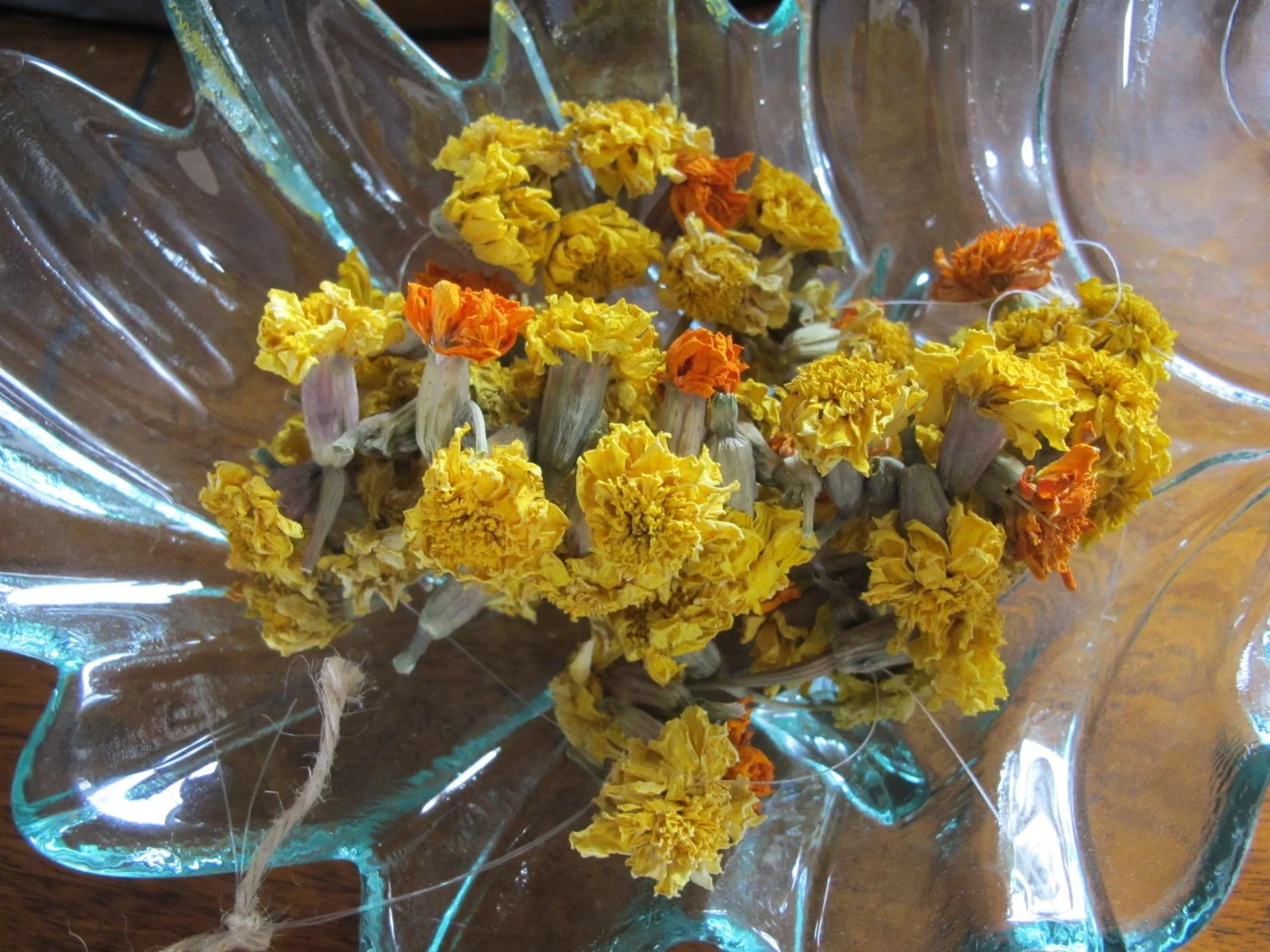 Dried Marigold