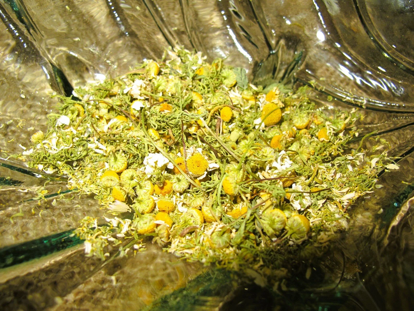 Dried Chamomile