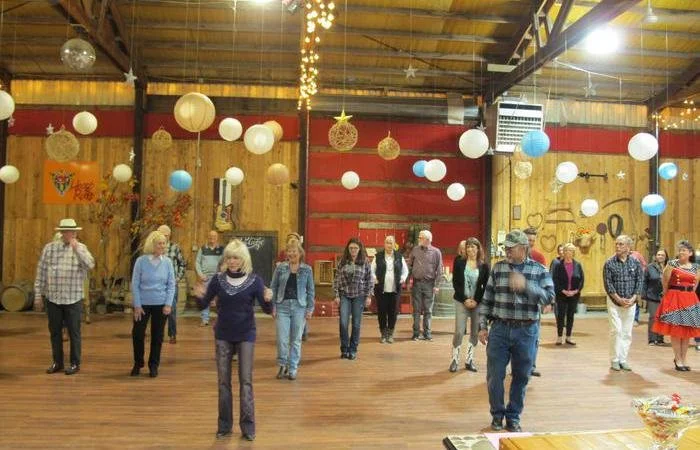 A woman and a man teach a dance lesson in a decorated barn with paper lanterns hanging from the ceiling.