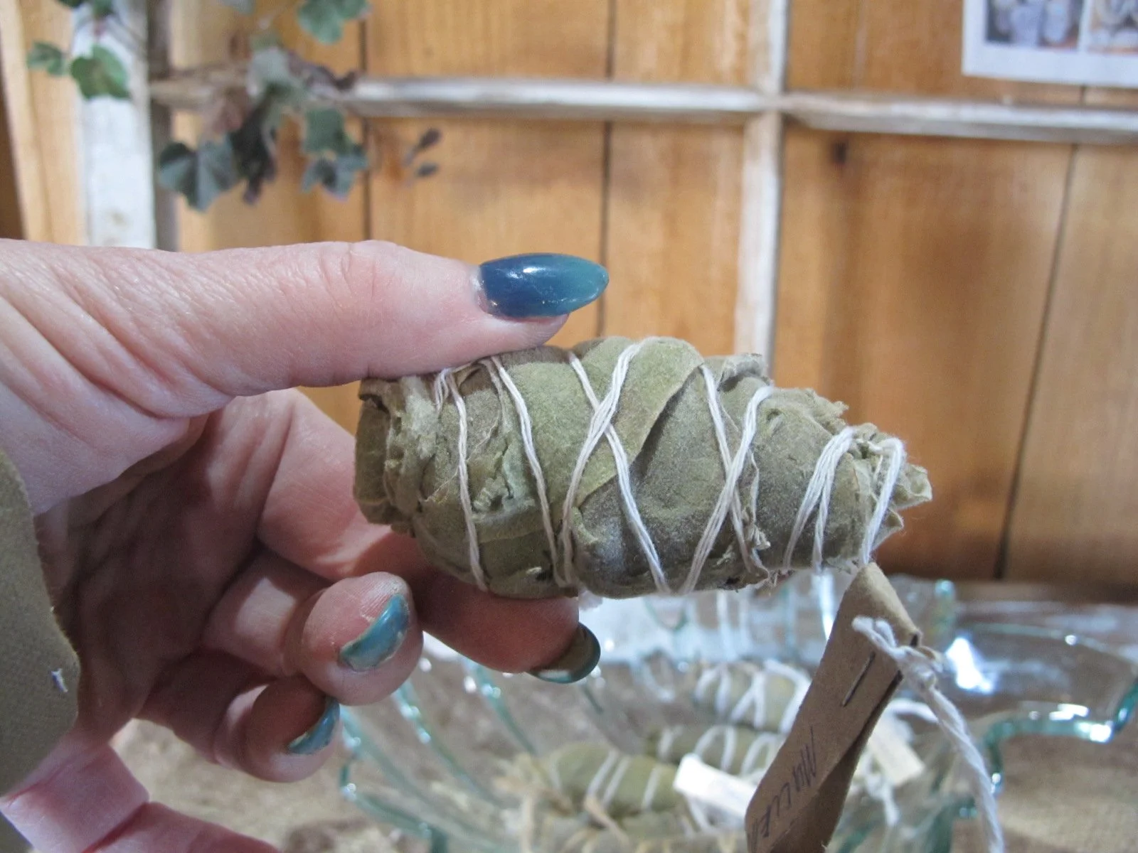 Dried Tied Mullein.JPG