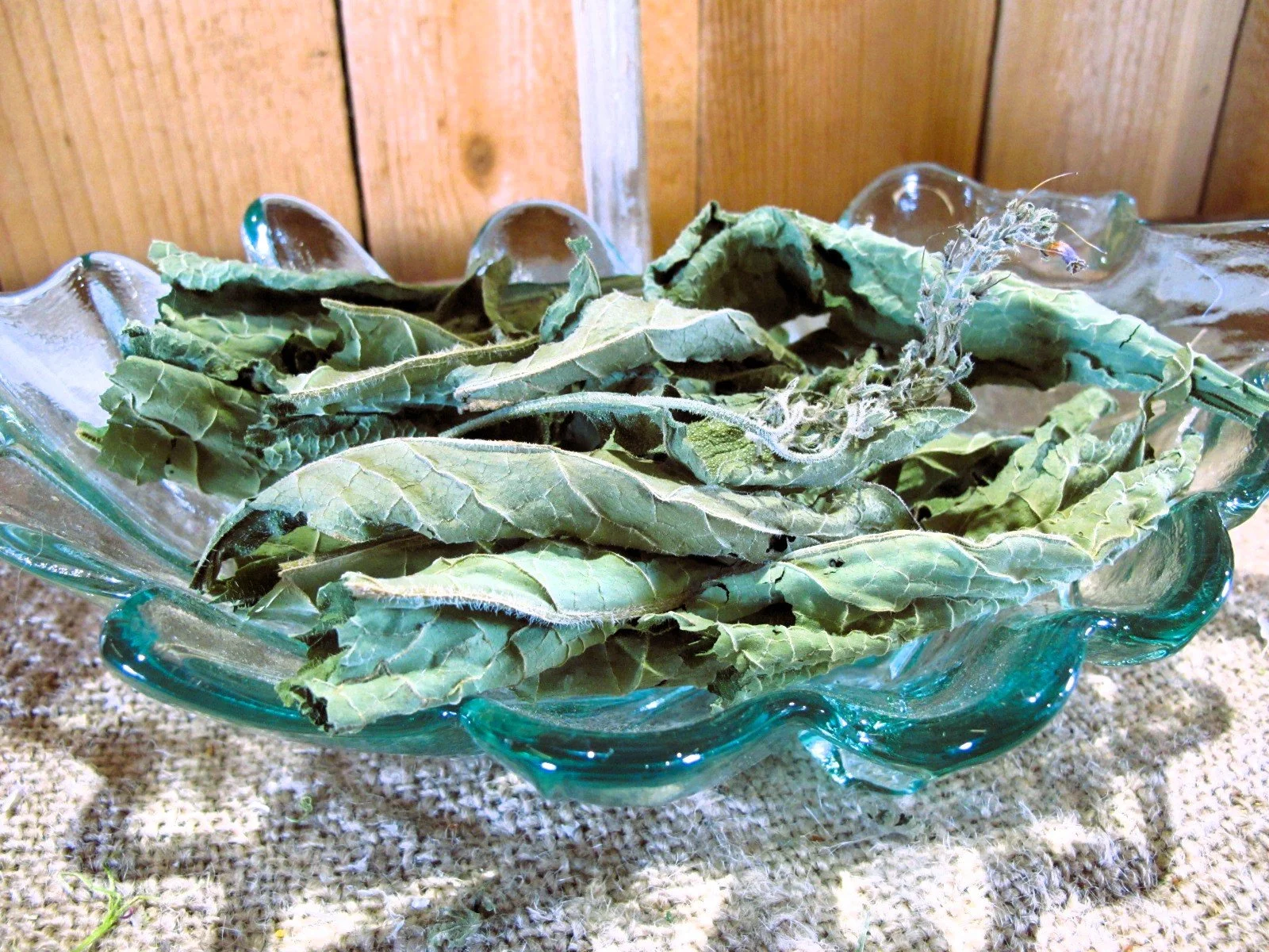 Dried Comfrey