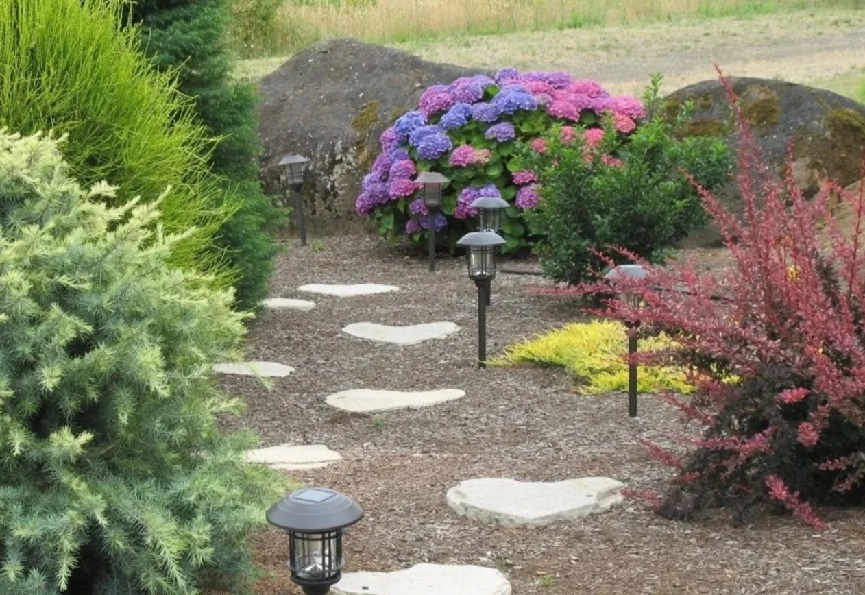 A garden pathway with heart-shaped stepping stones, surrounded by various green and flowering bushes, with small garden lights lining the path and large rocks in the background.