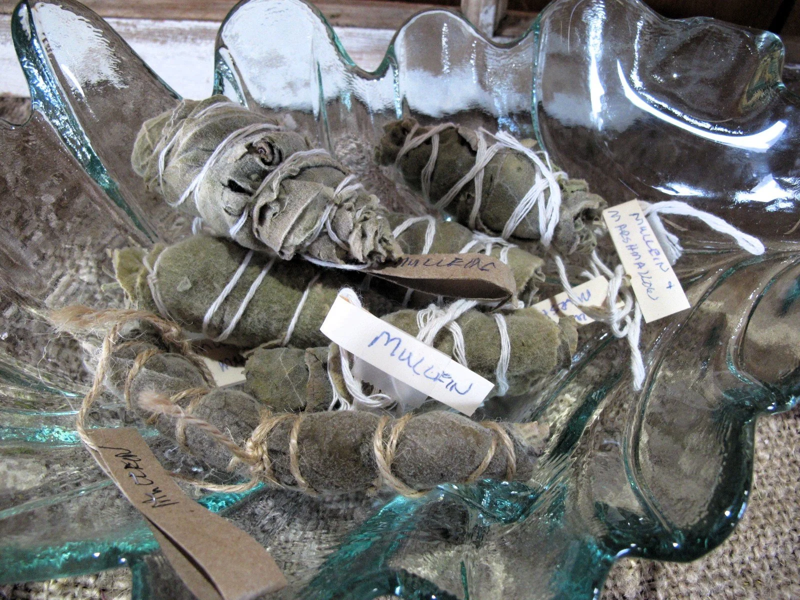 Dried Tied Mullein & Mullein Marshmallow.JPG