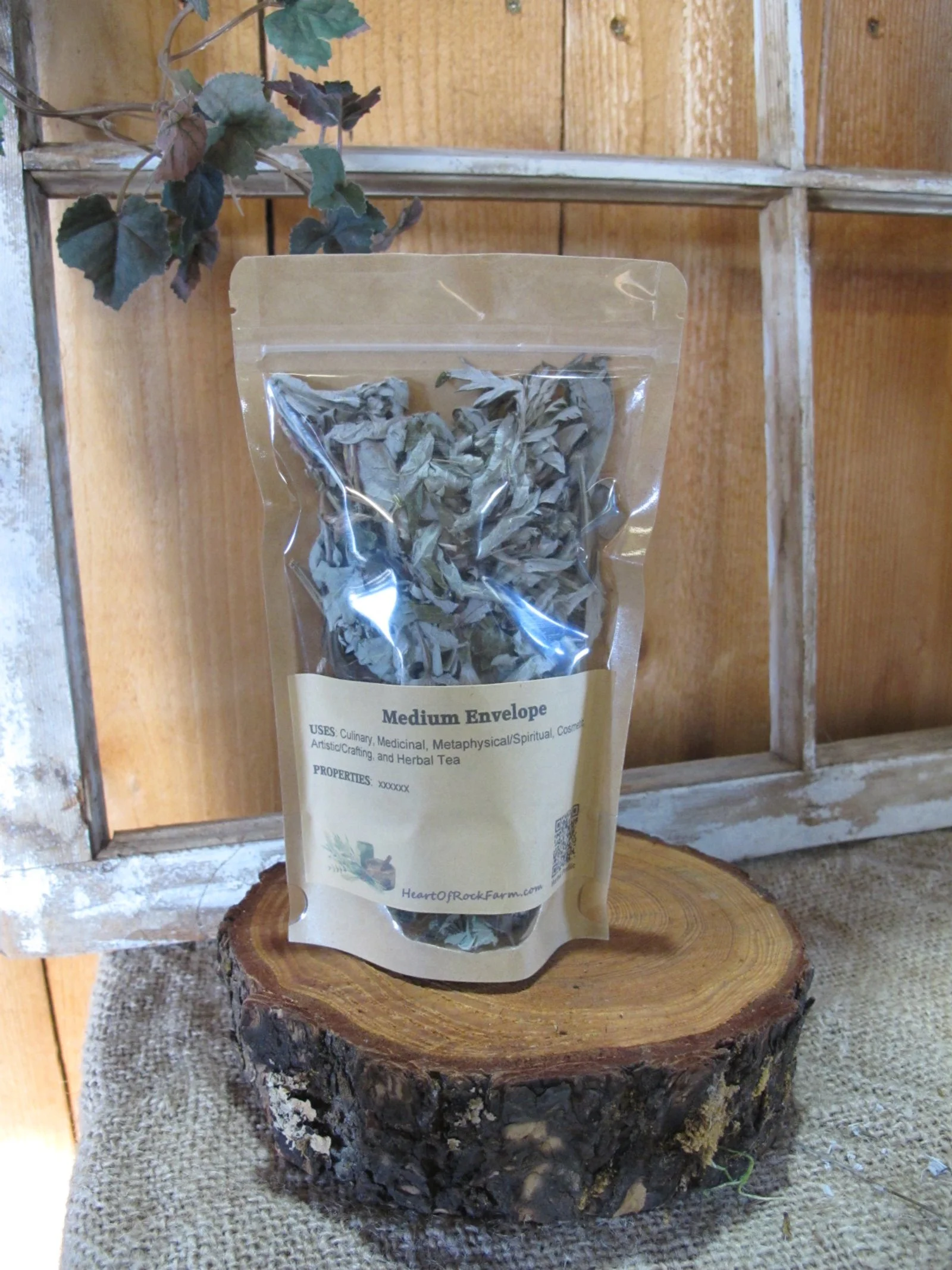 x Medium Envelope.JPG (Copy)