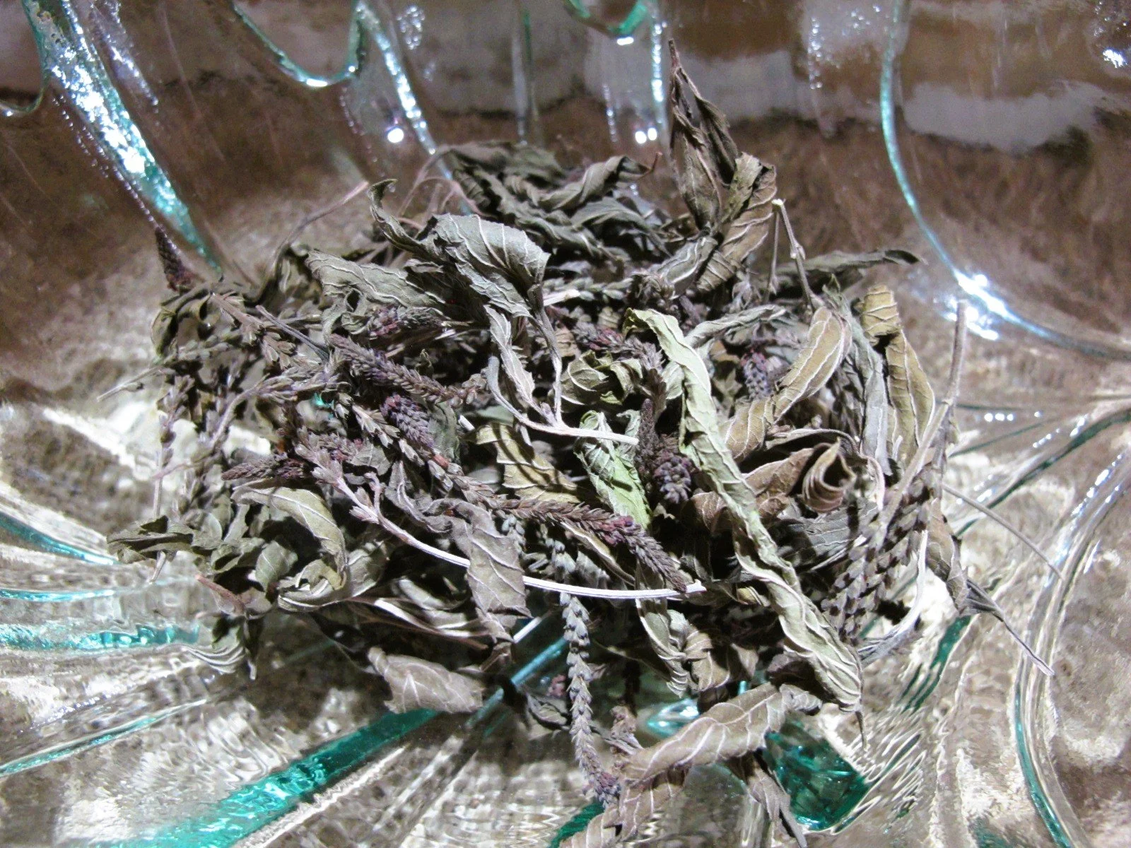 Dried Blue Vervain