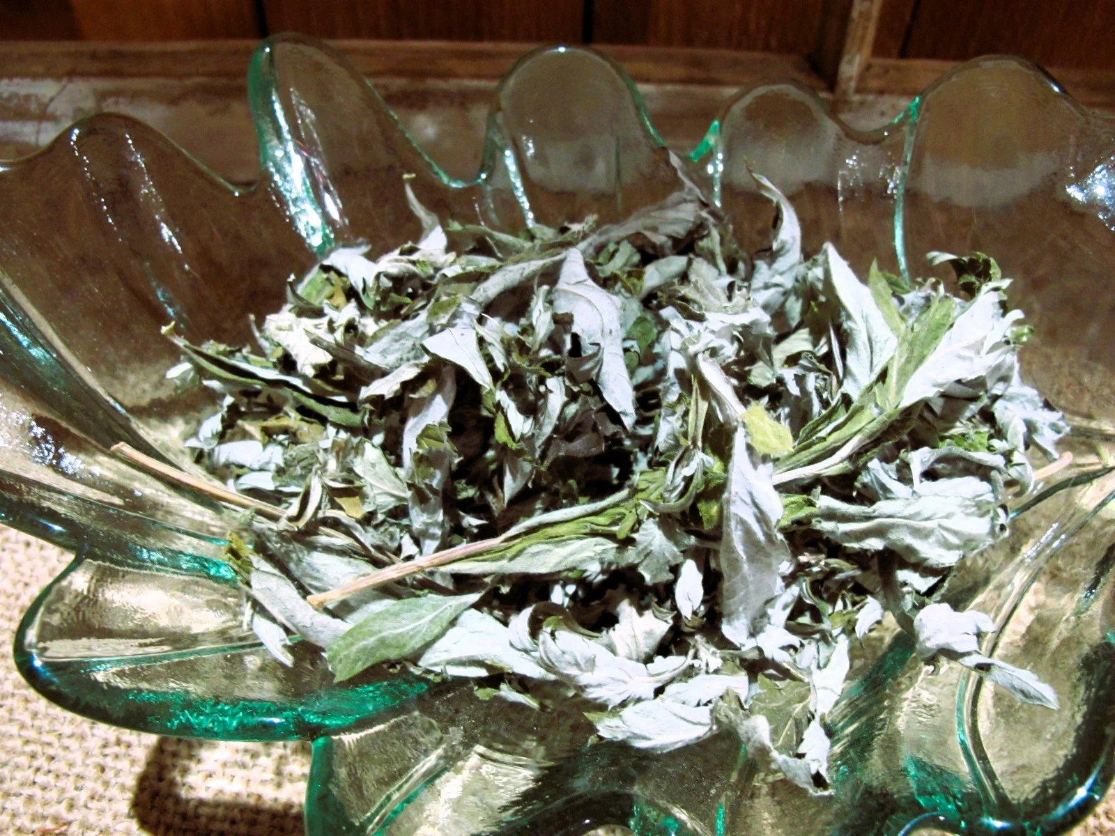 Dried Mugwort