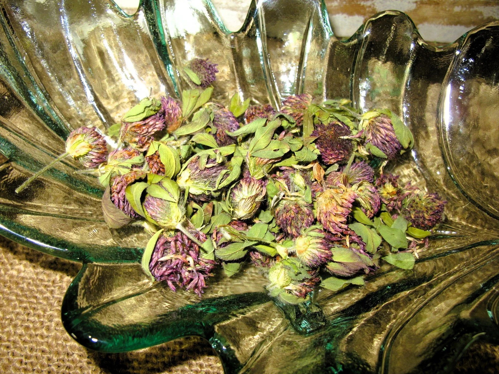 Dried Red Clover Blossoms