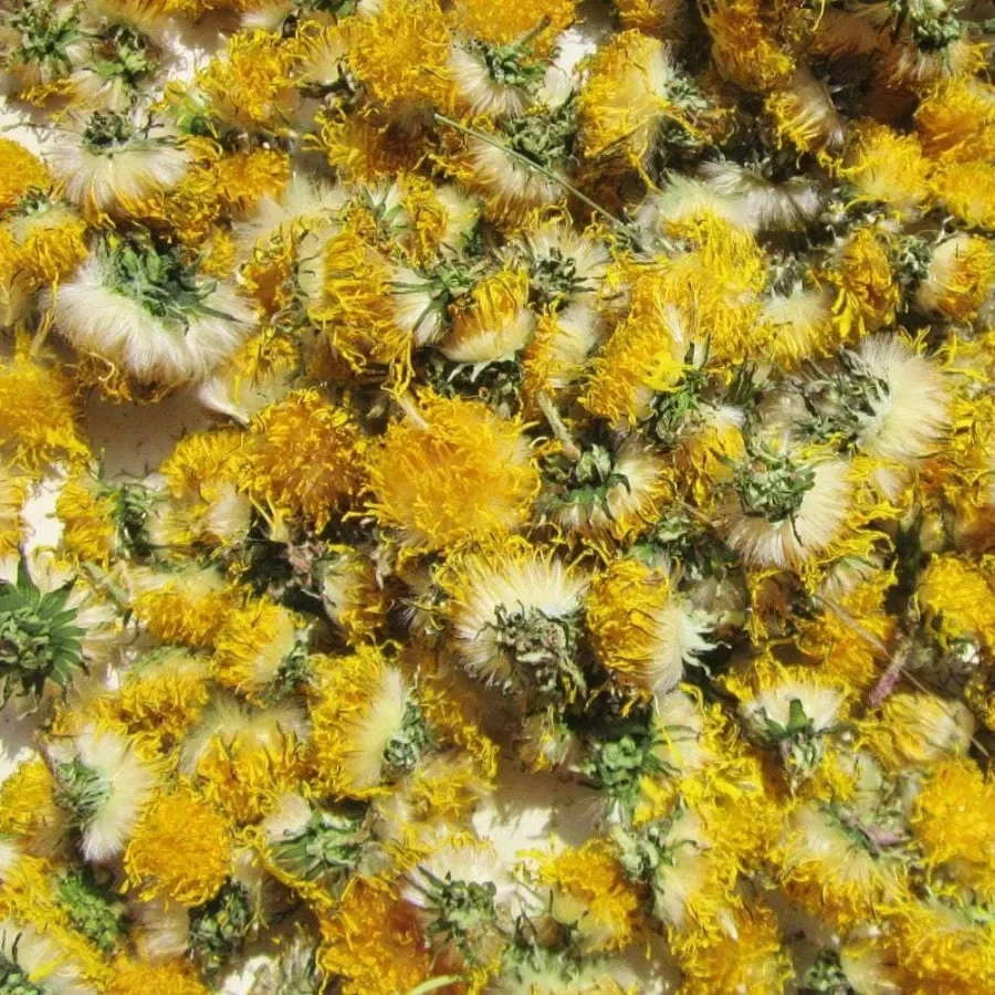 dandelion dried.webp