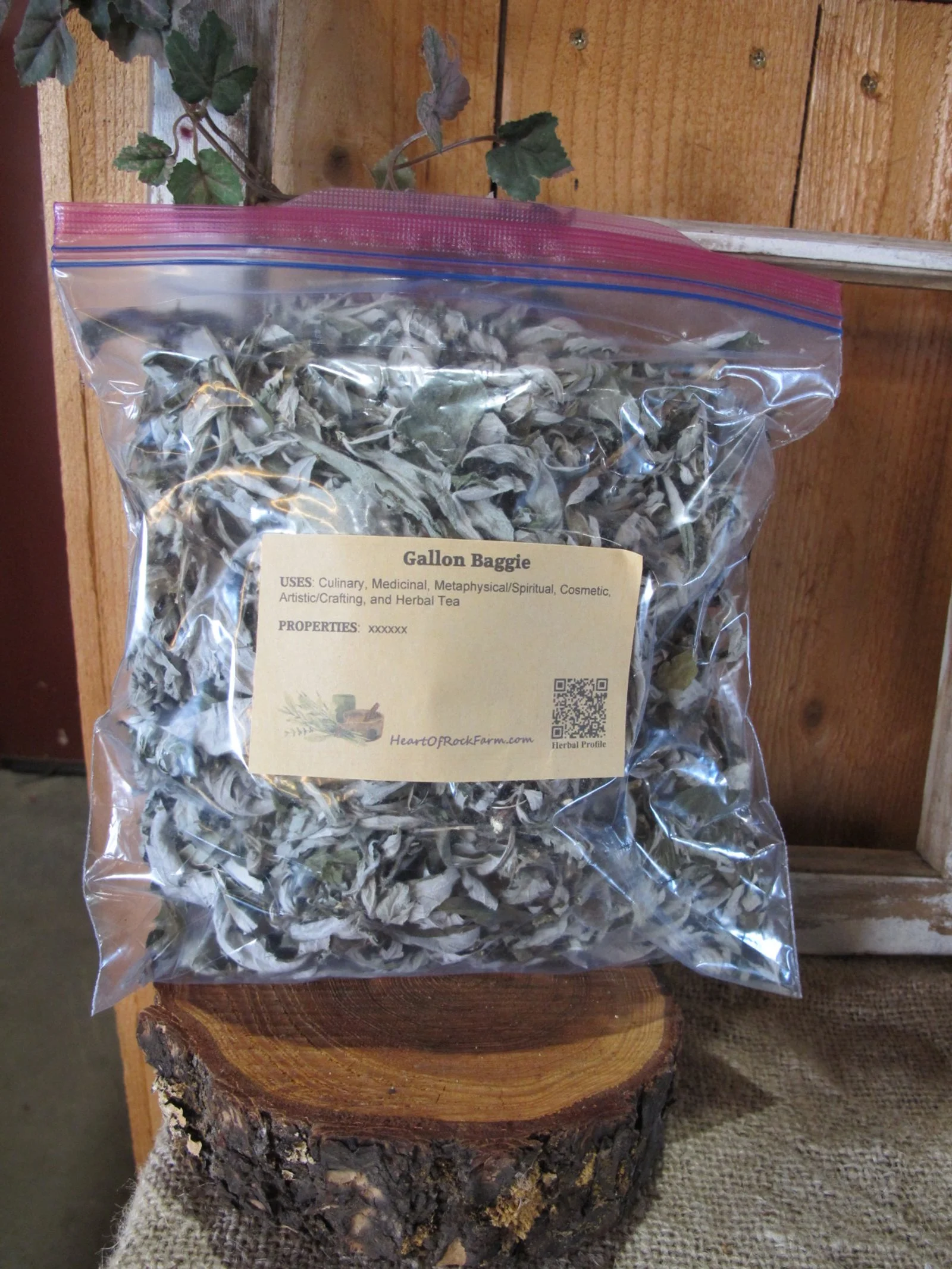 x Gallon Baggie.JPG (Copy)