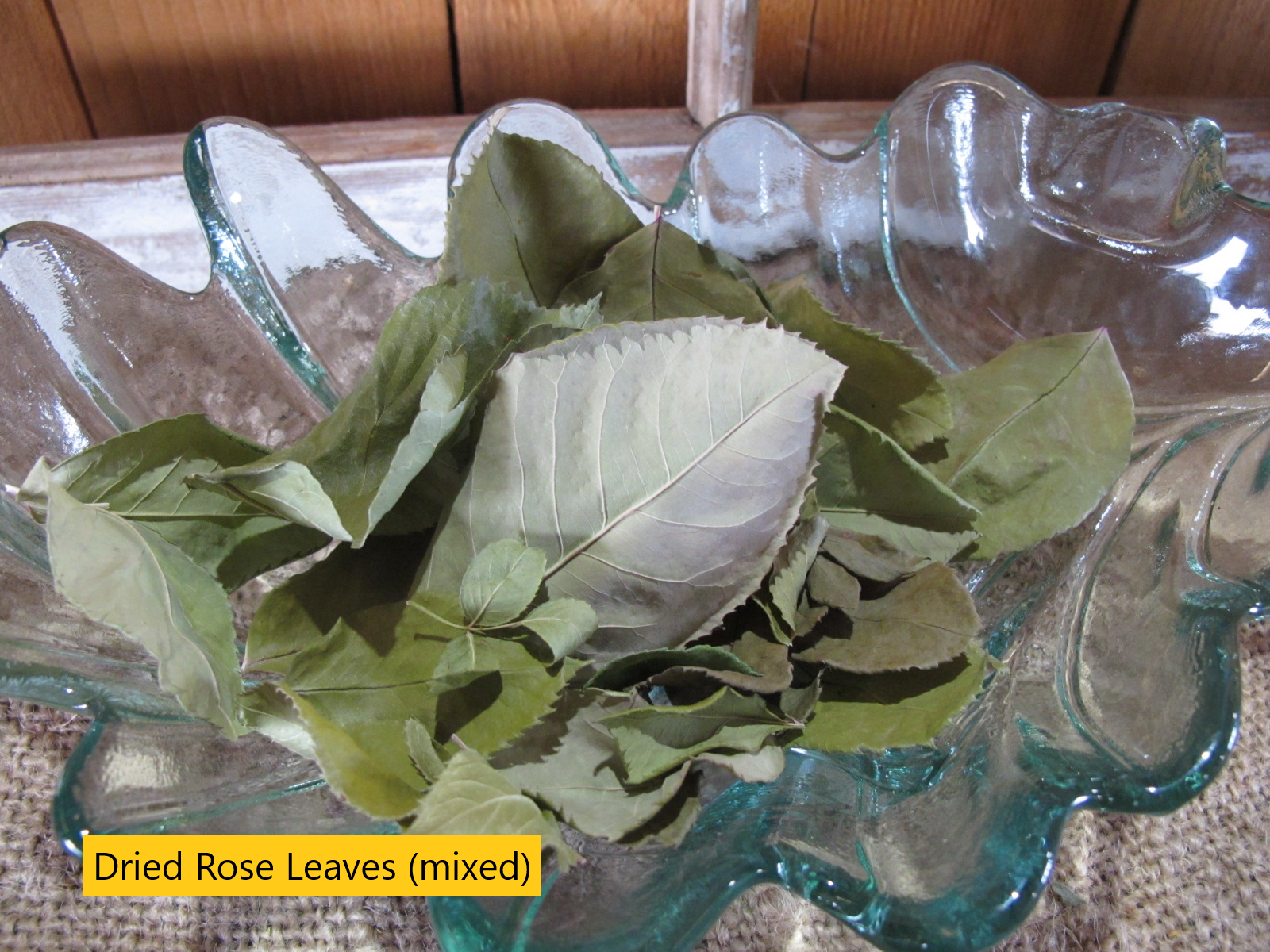 Dried Rose Leaves Titled.png