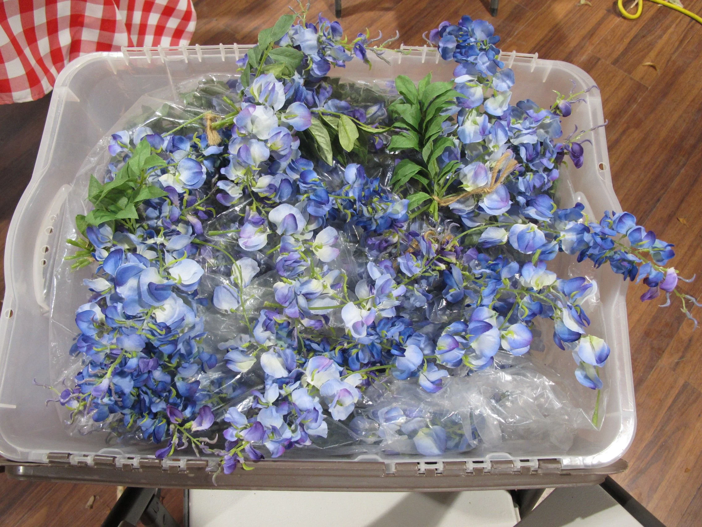 FG purple wisteria.JPG