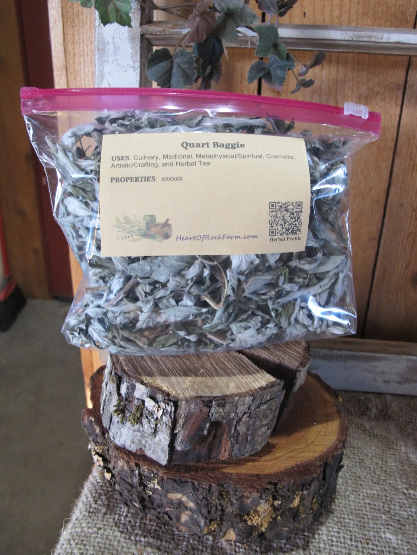 x Quart Baggie.JPG (Copy)