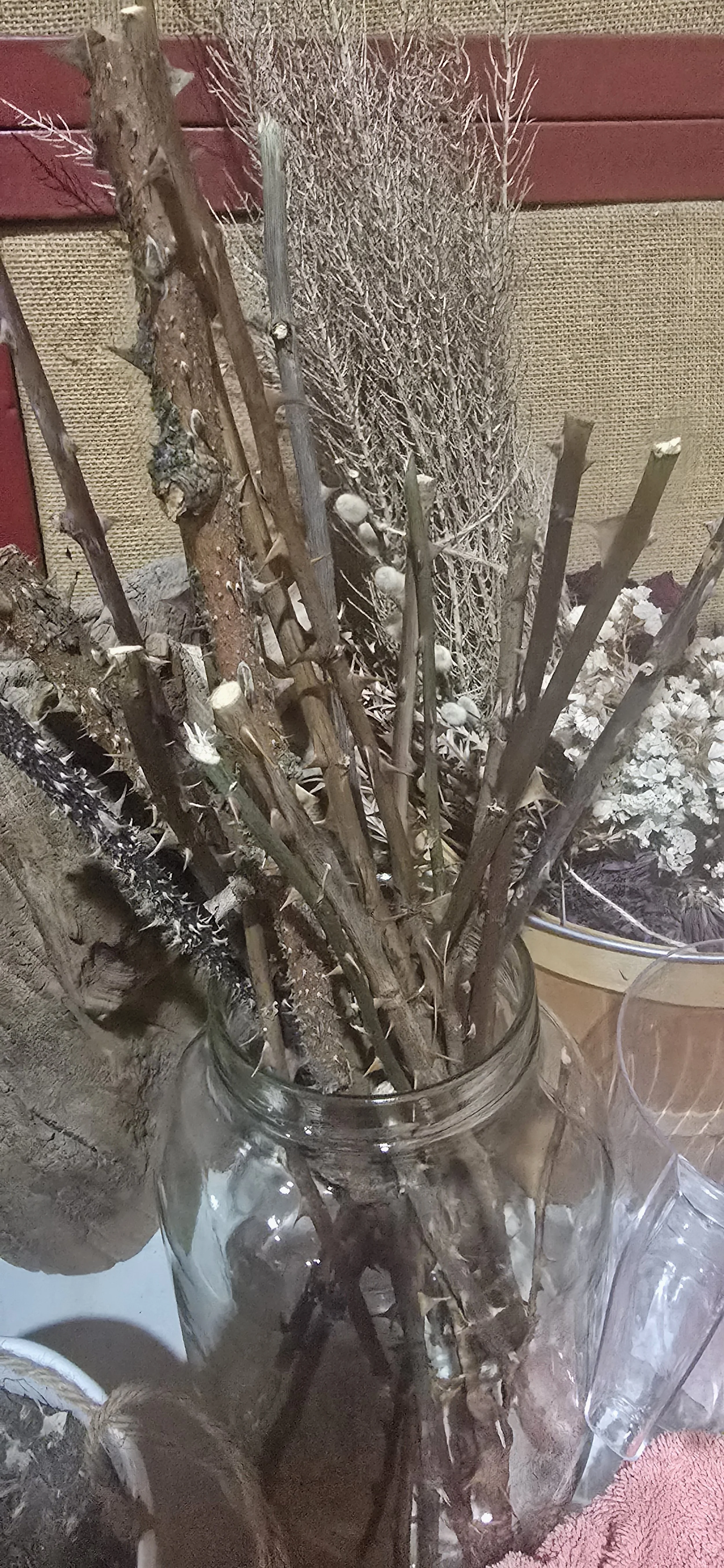 M Thorn Branches.jpg